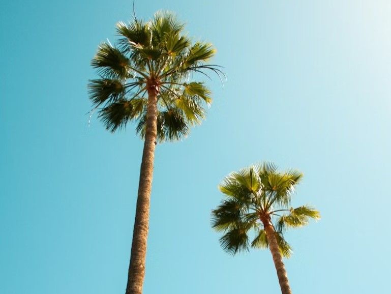 Roller till reklaminspelning i Spanien - Mamma och Döttrar sökes