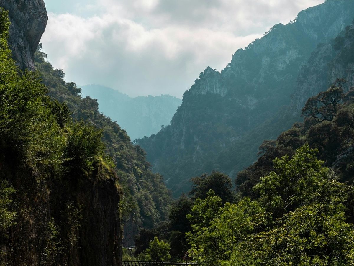 Kvinnor 25–40 år sökes till global bilreklam – inspelning i Spanien