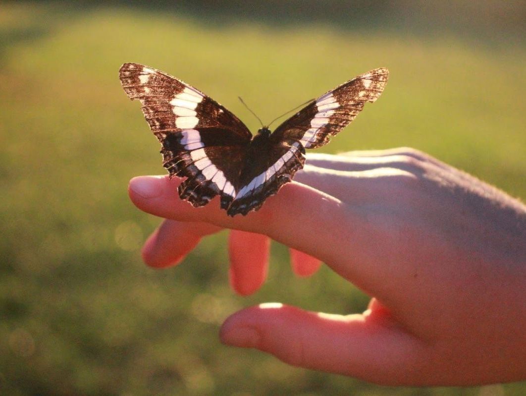 Skådespelare sökes till dramakortfilm - flera roller (Stockholms Filmskola)