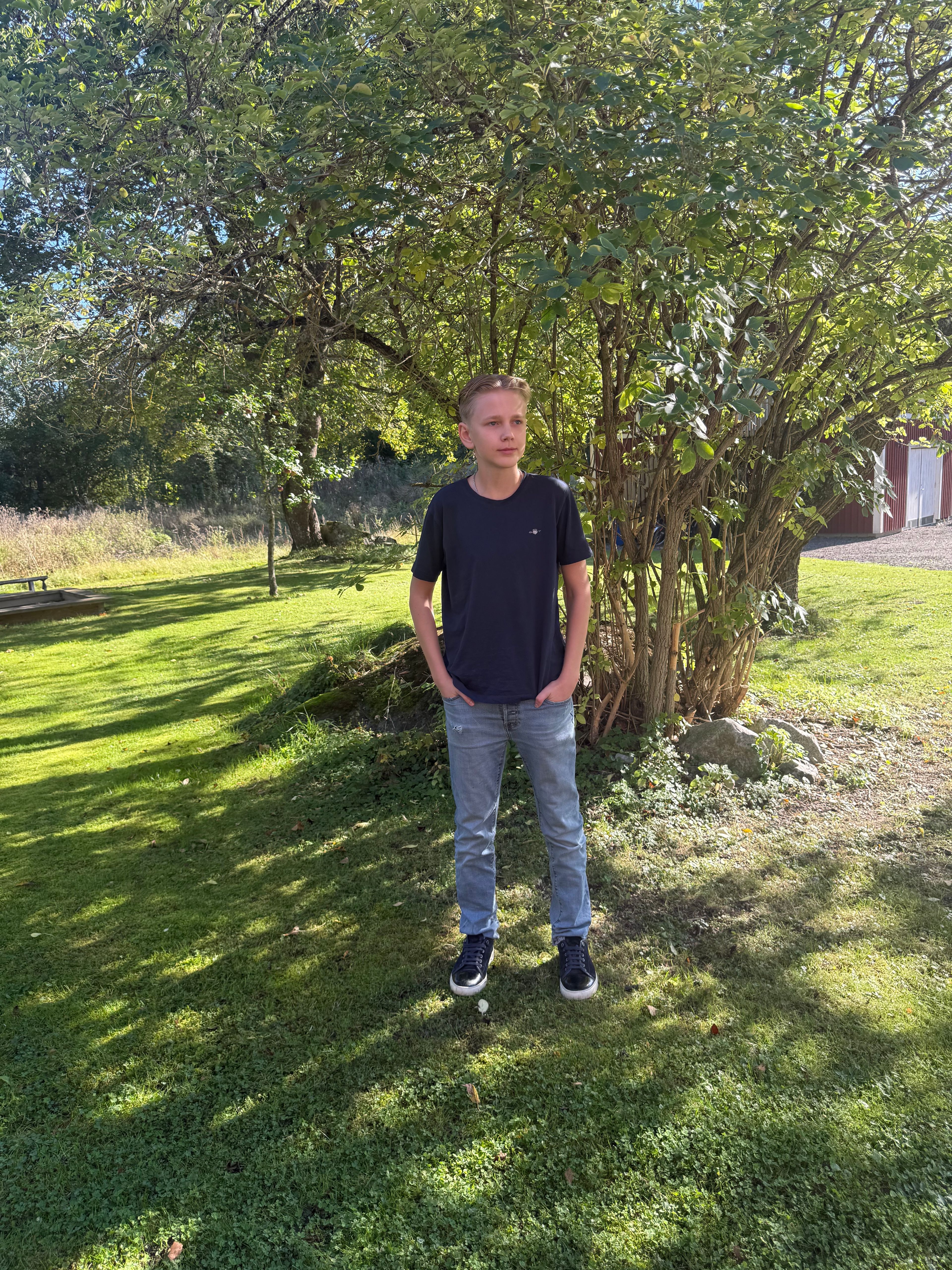 bild 2}