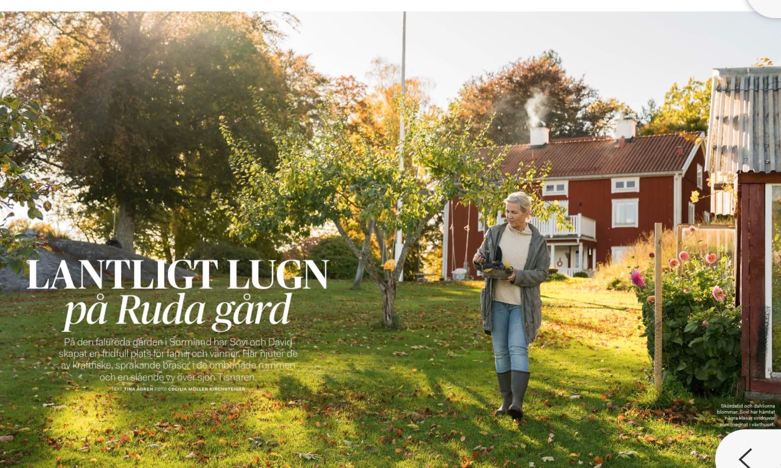 bild 2}