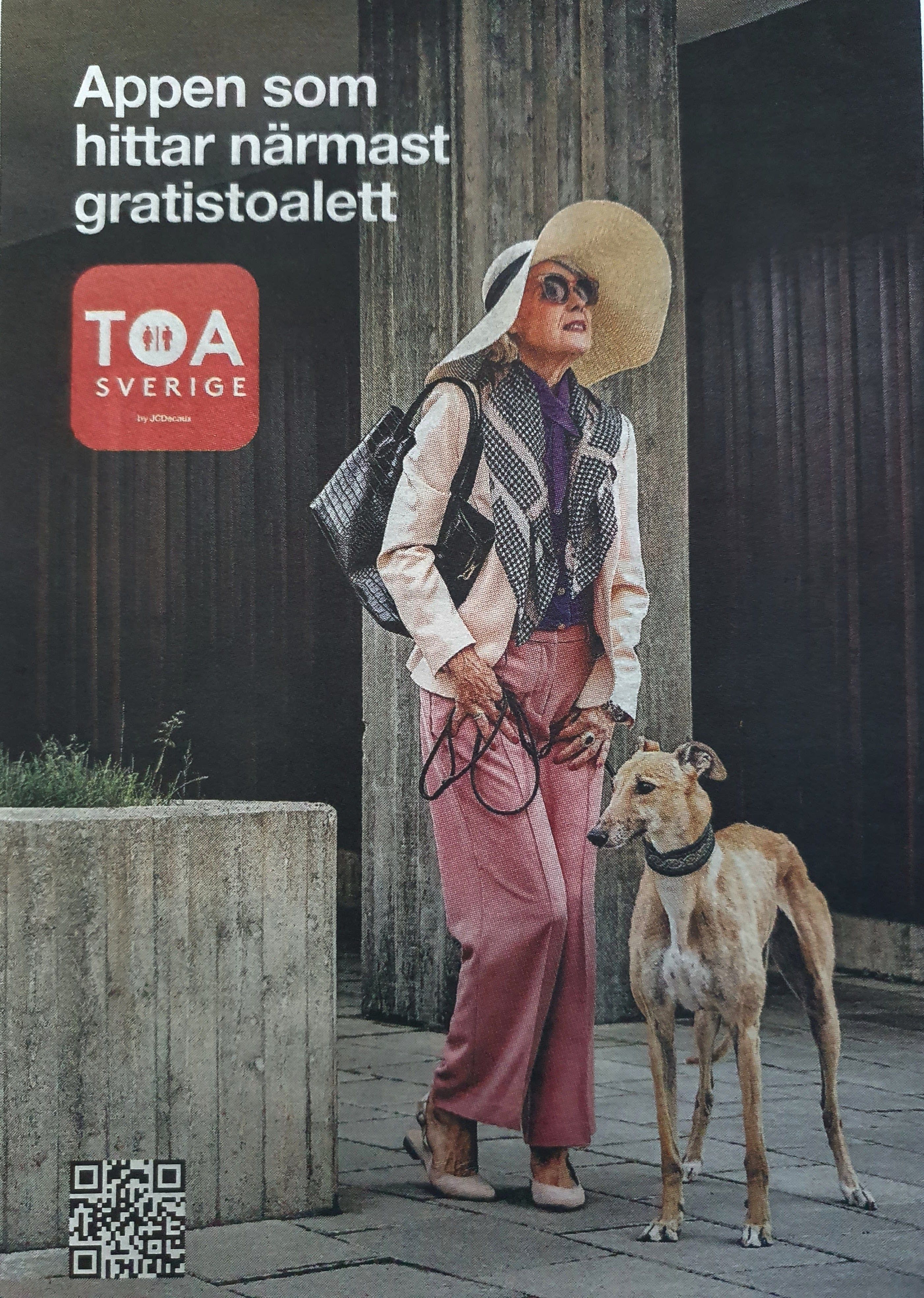 bild 4}