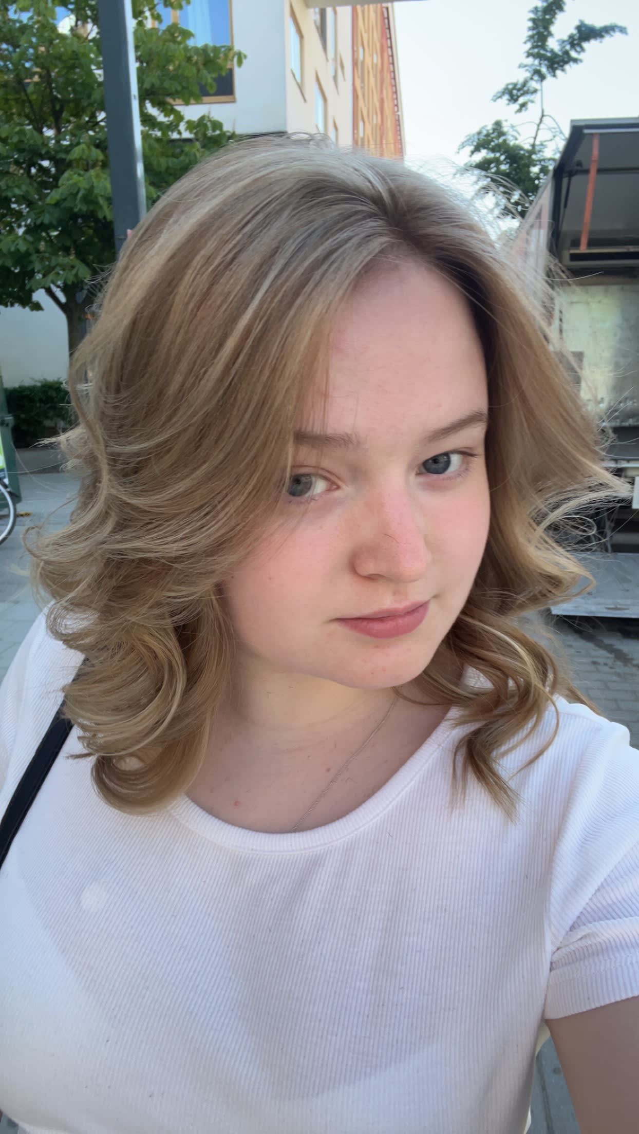 bild 3}
