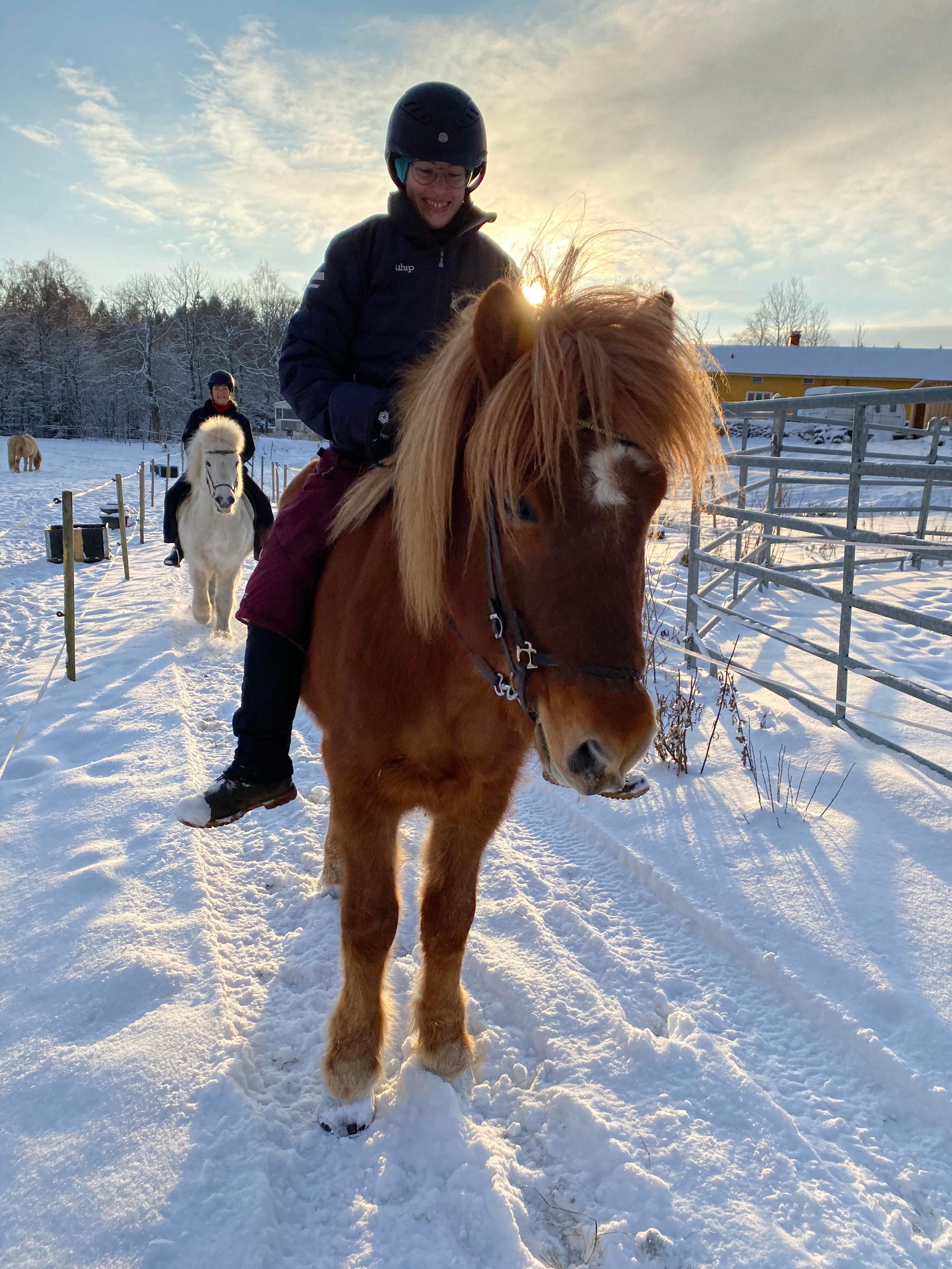 bild 1}