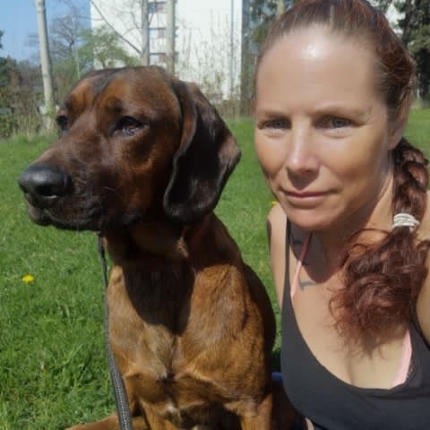 bild 1}