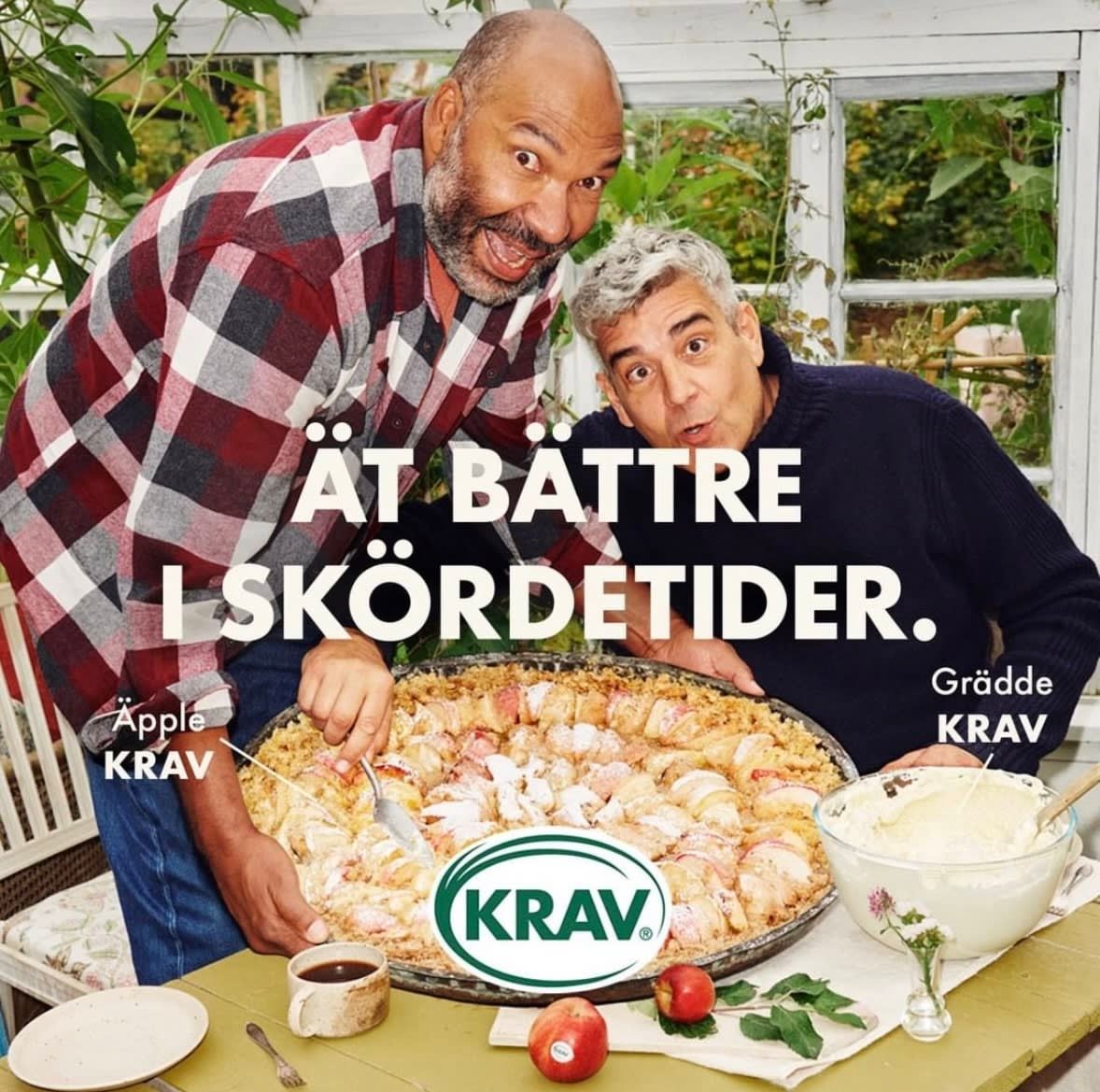 bild 2}
