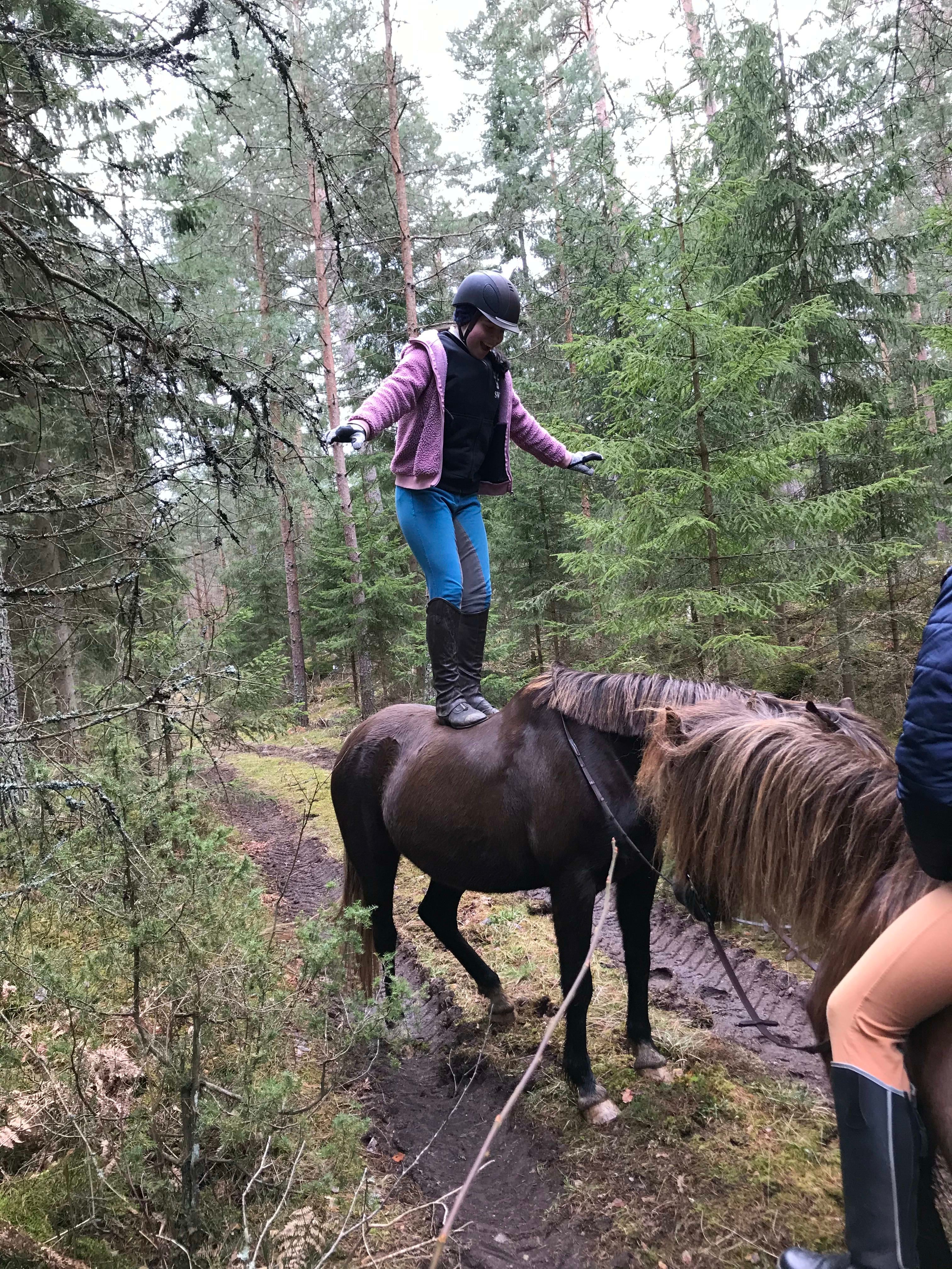 bild 3}