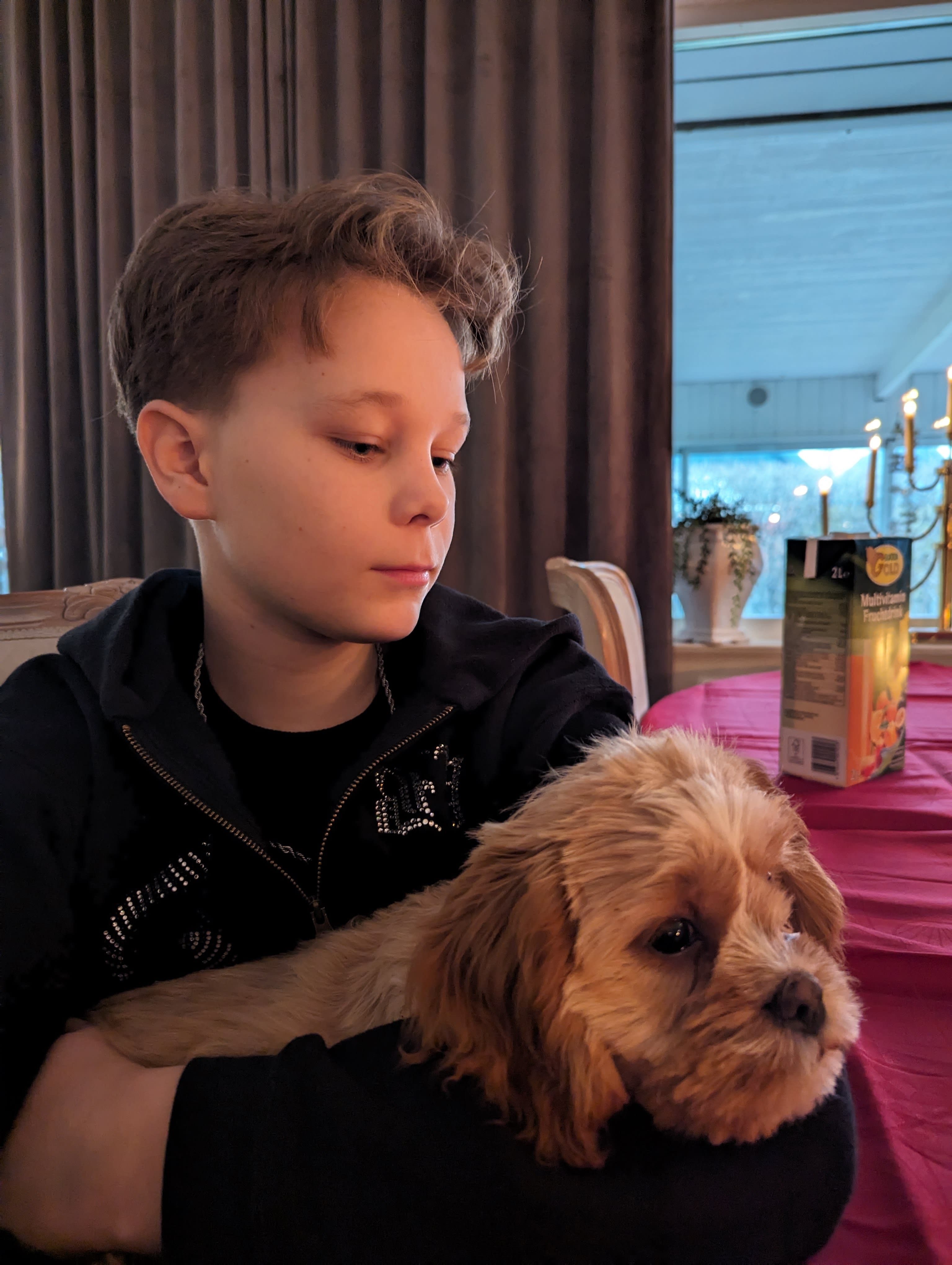 bild 0}