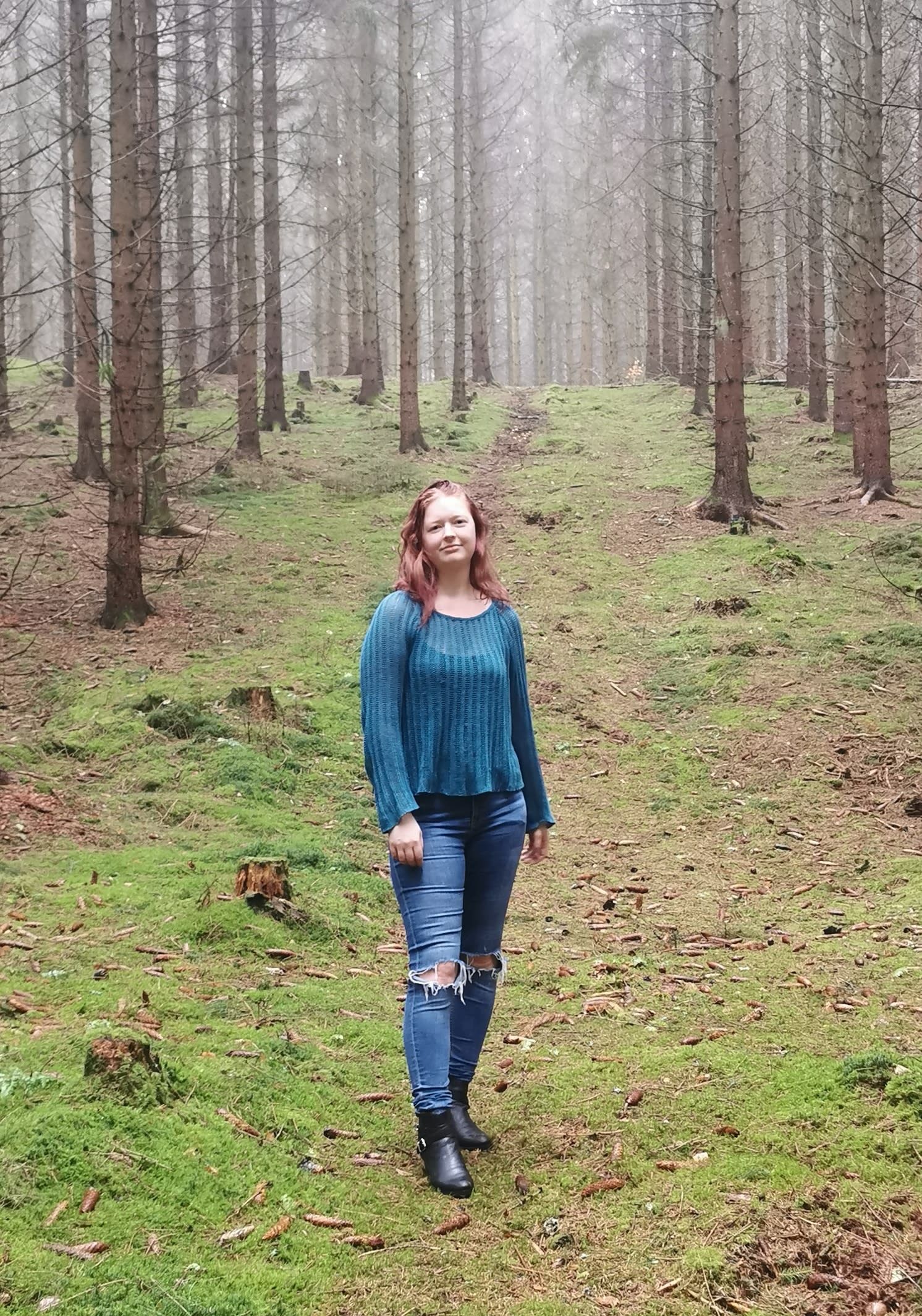 bild 0}