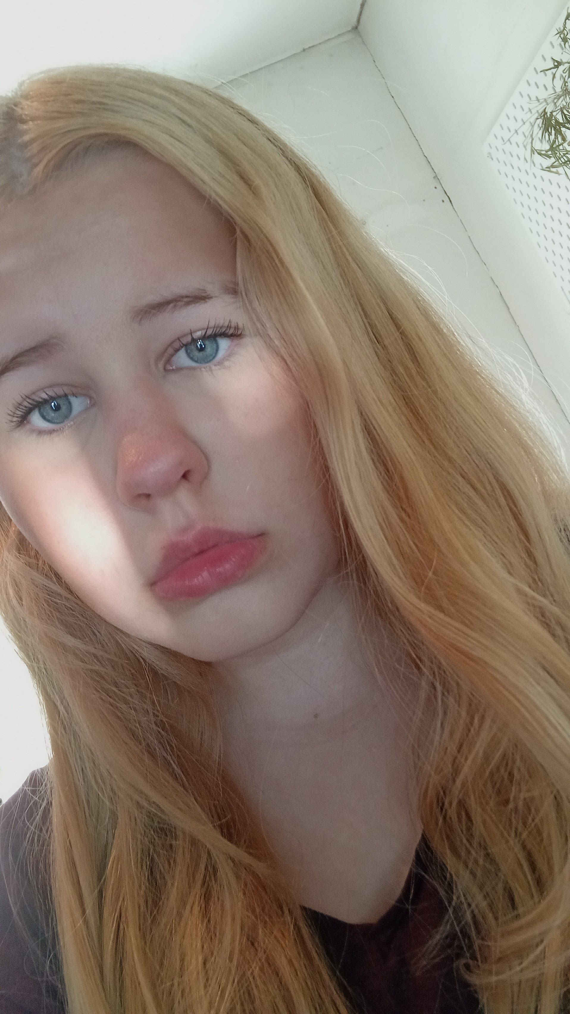 bild 1}