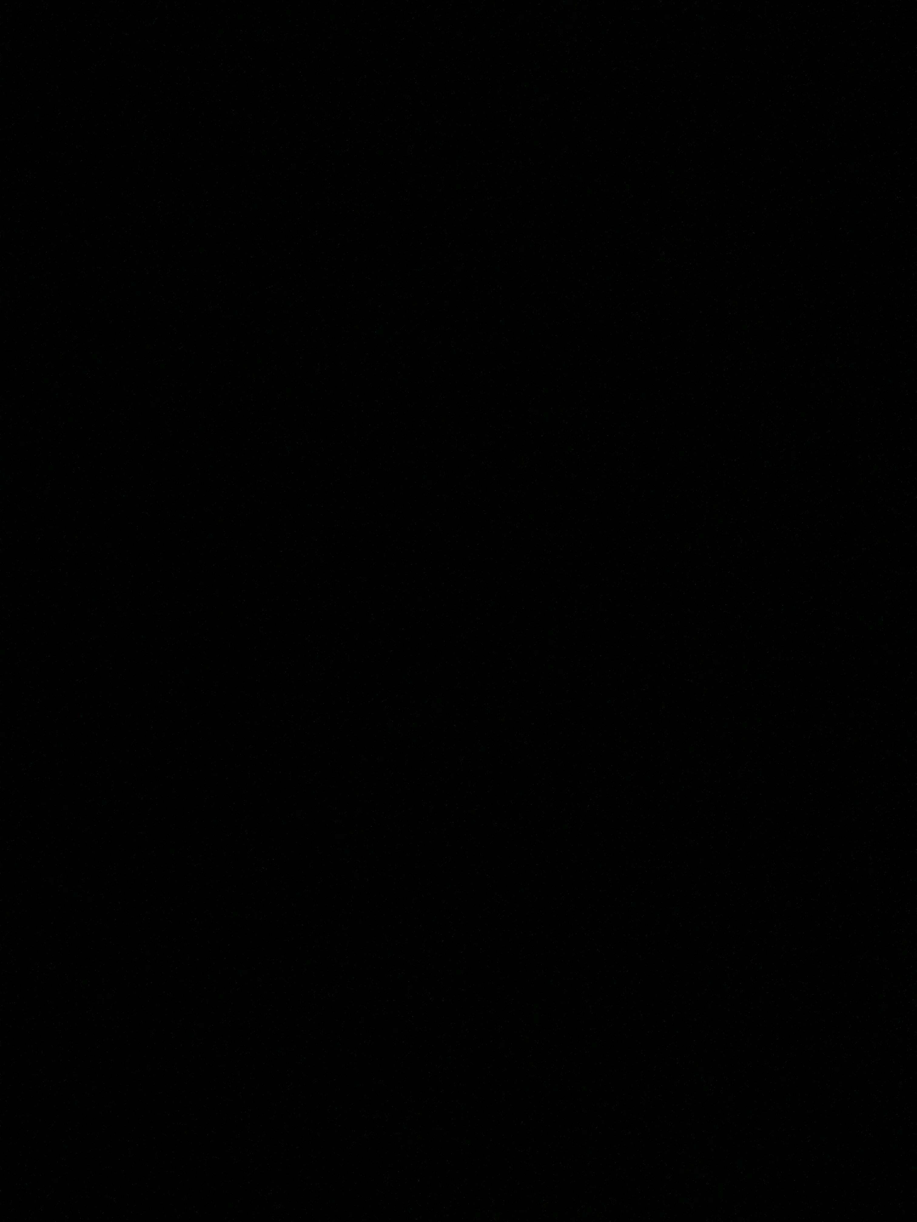 bild 0}