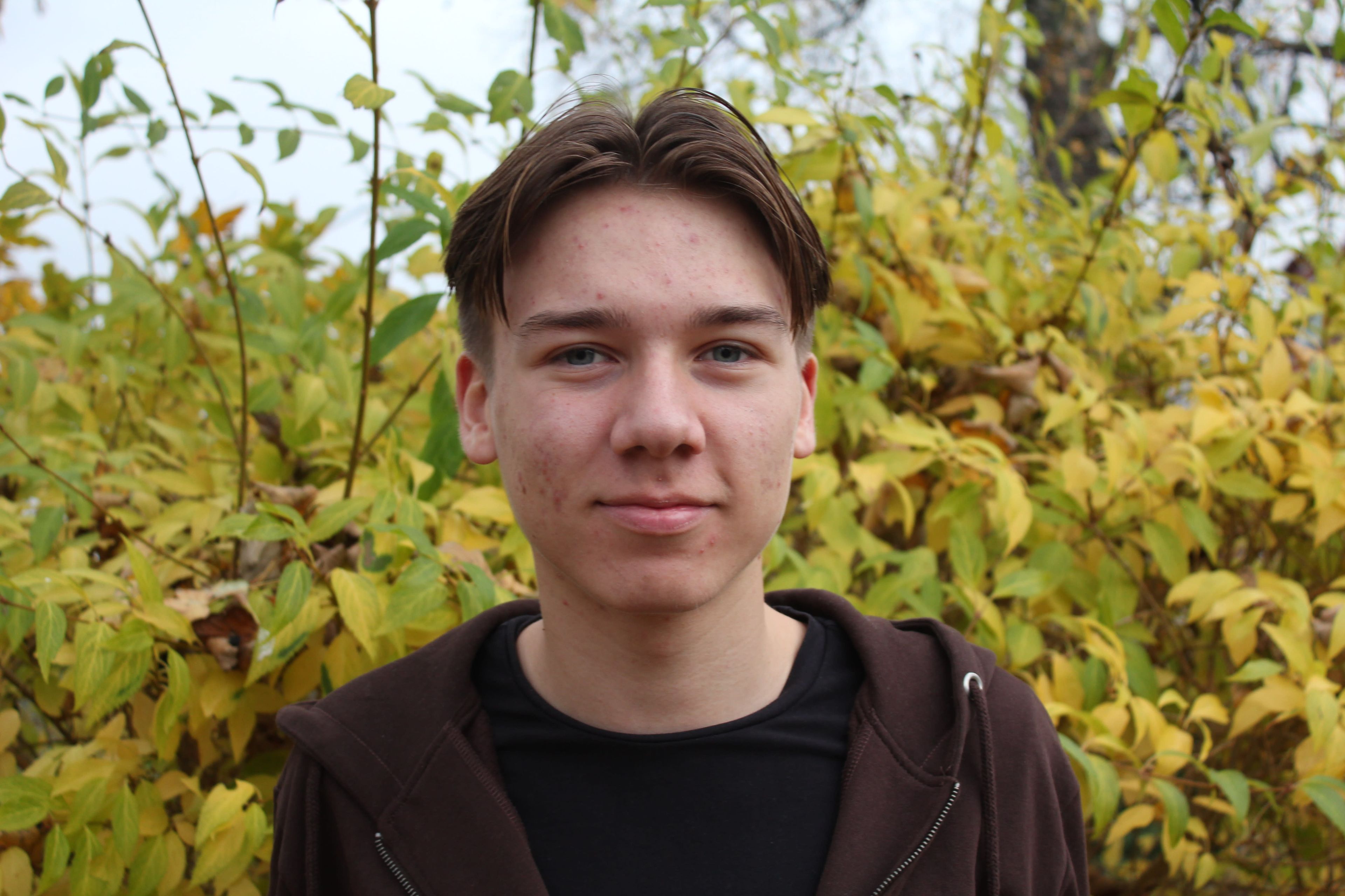 bild 2}