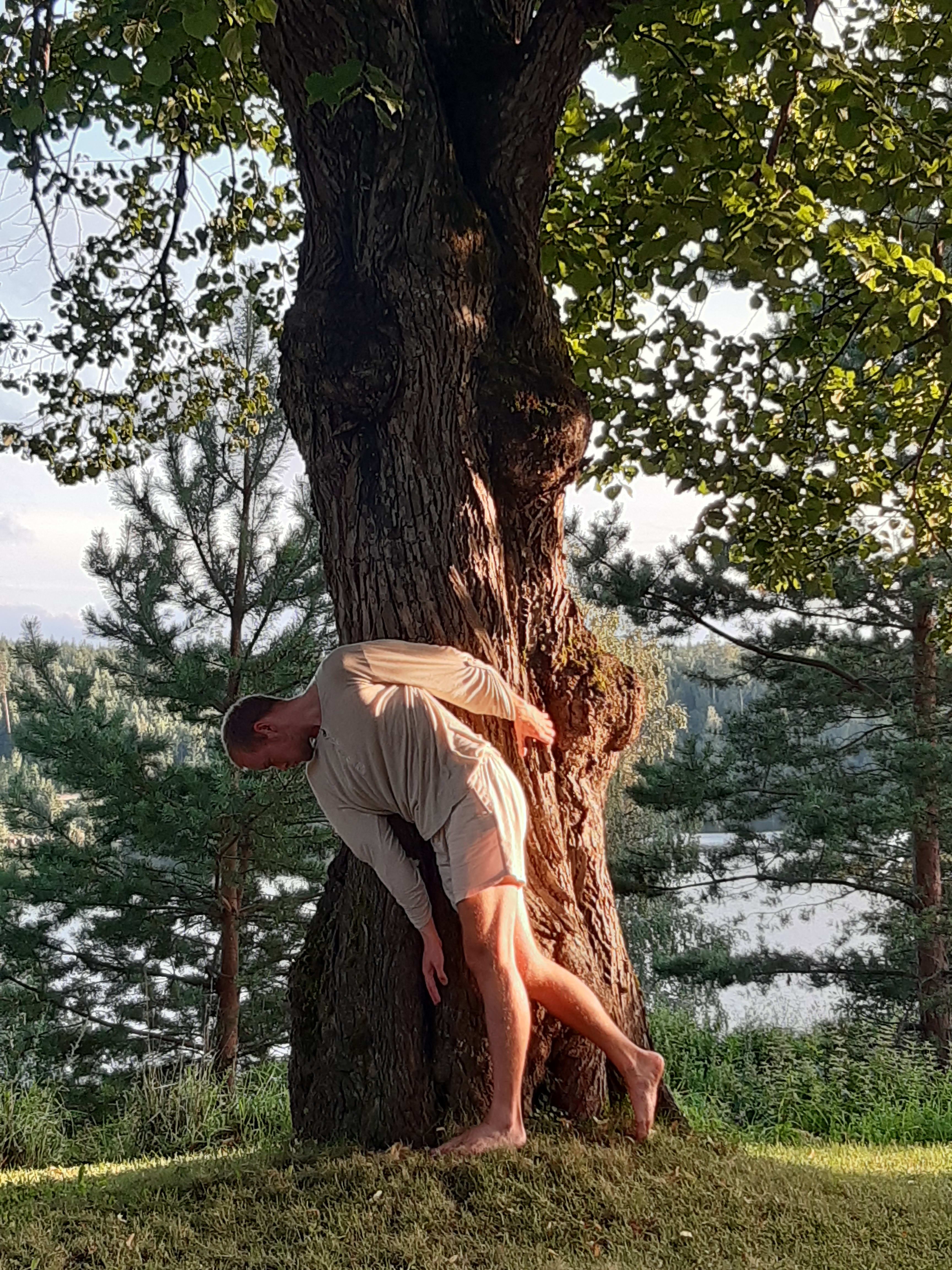 bild 3}