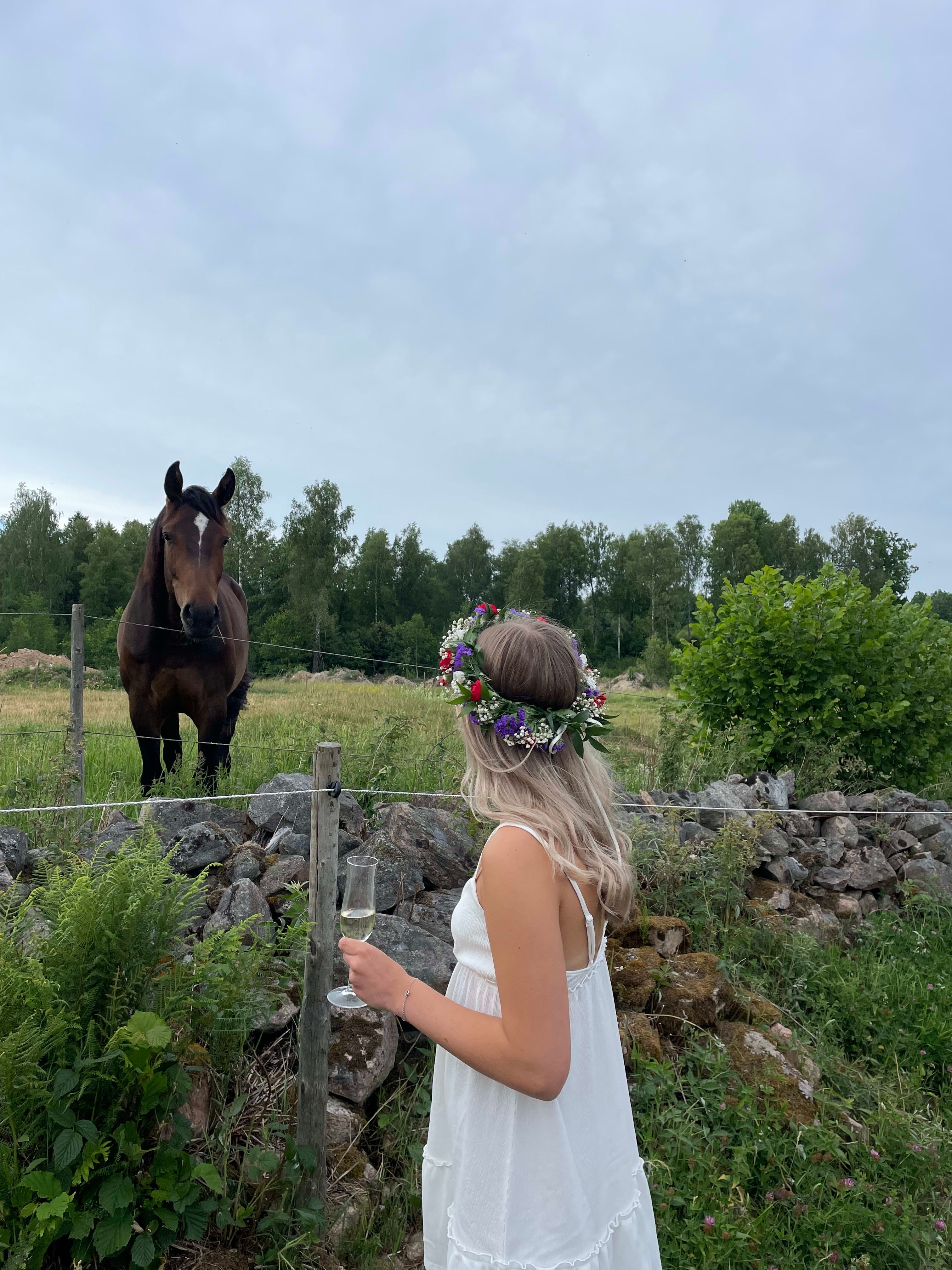 bild 4}