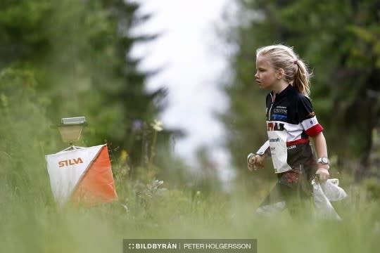 bild 3}