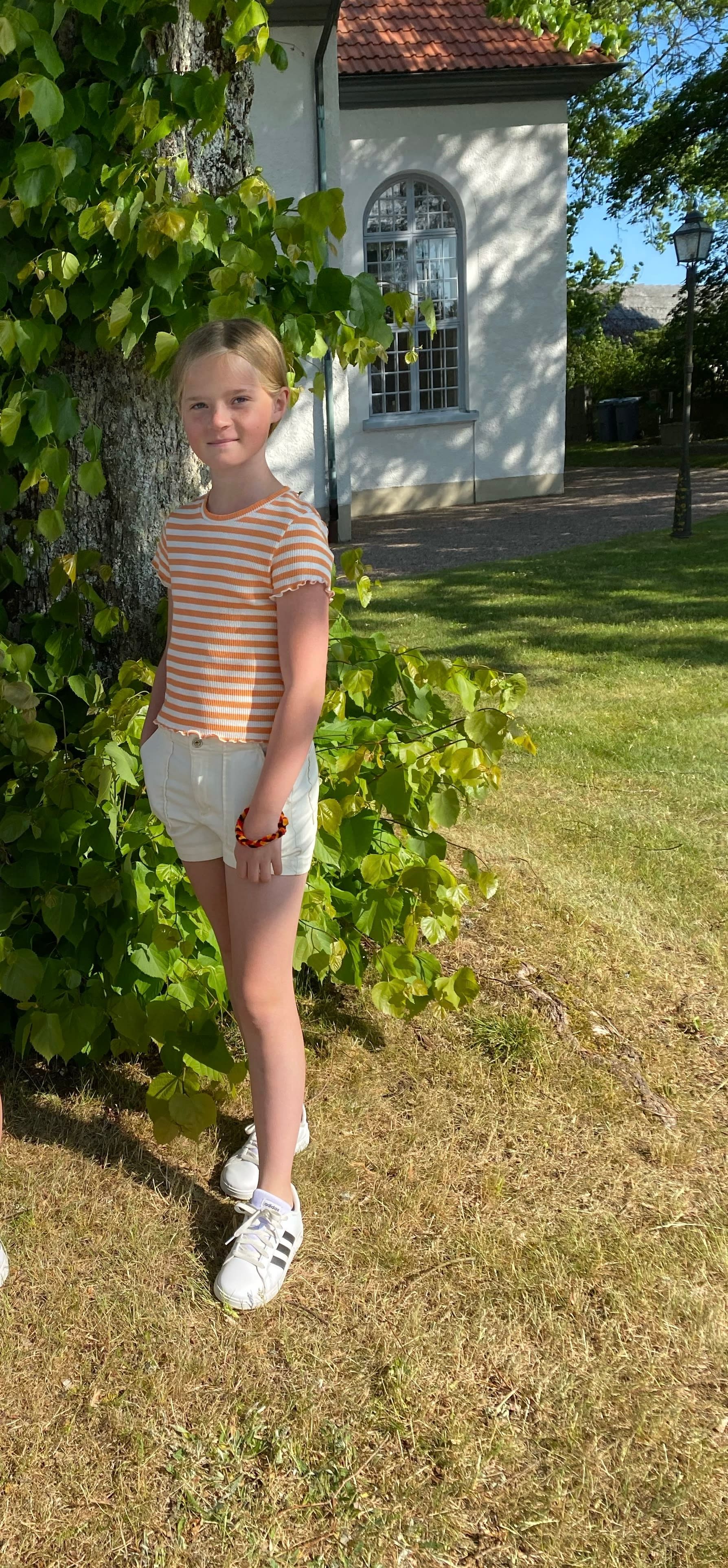 bild 2}