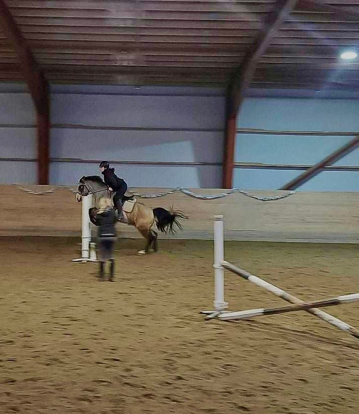 bild 2}