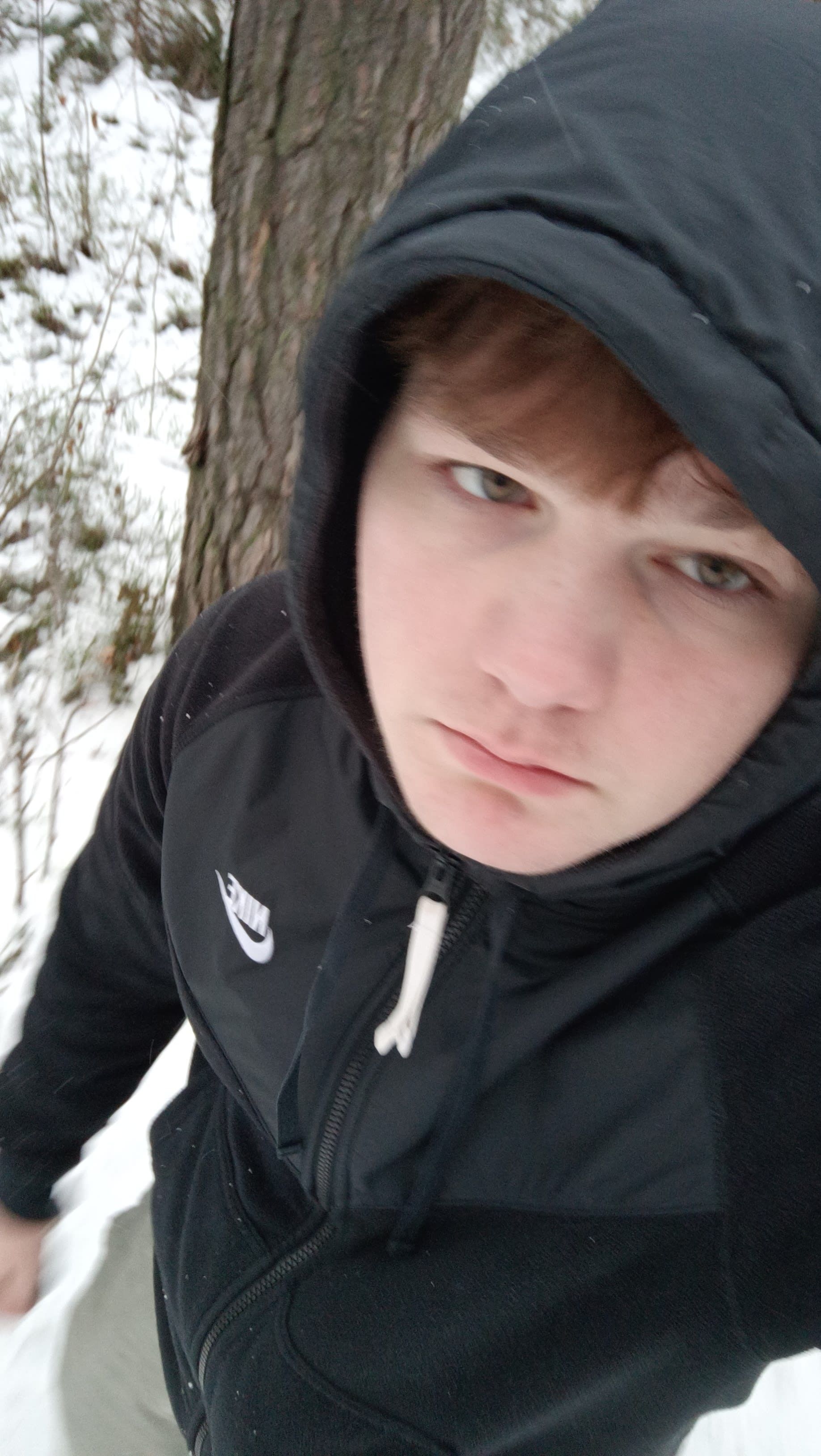 bild 0}