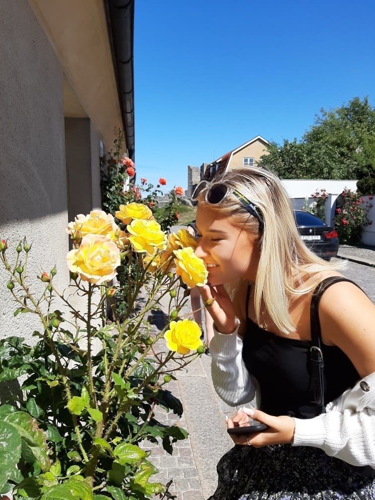 bild 1}