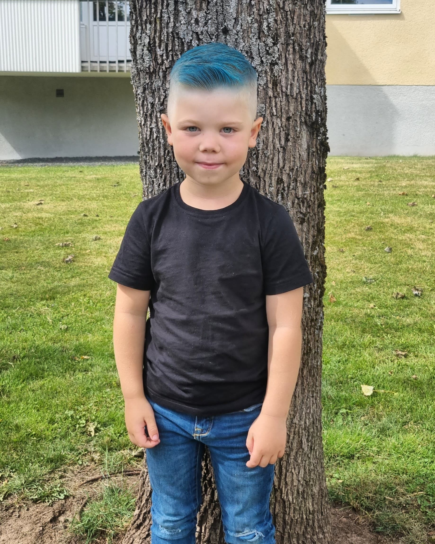 bild 2}