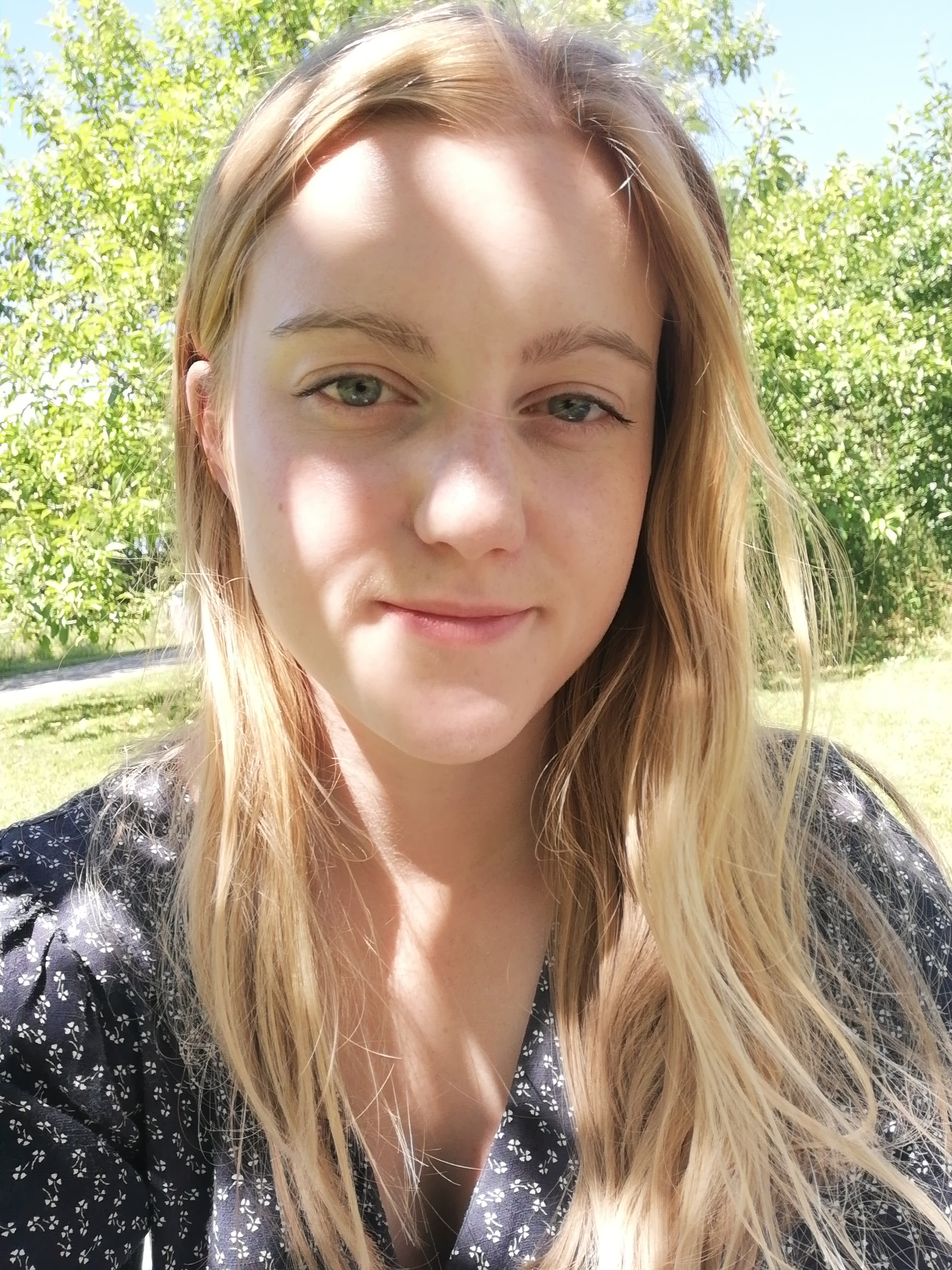 bild 2}
