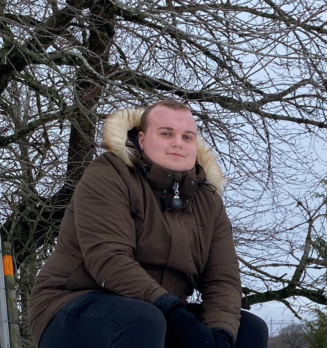 bild 2}