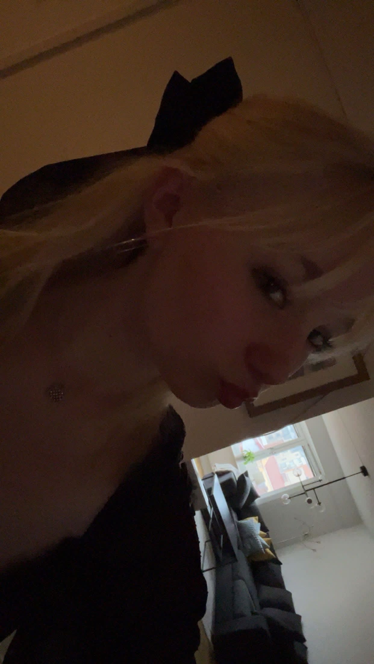 bild 2}