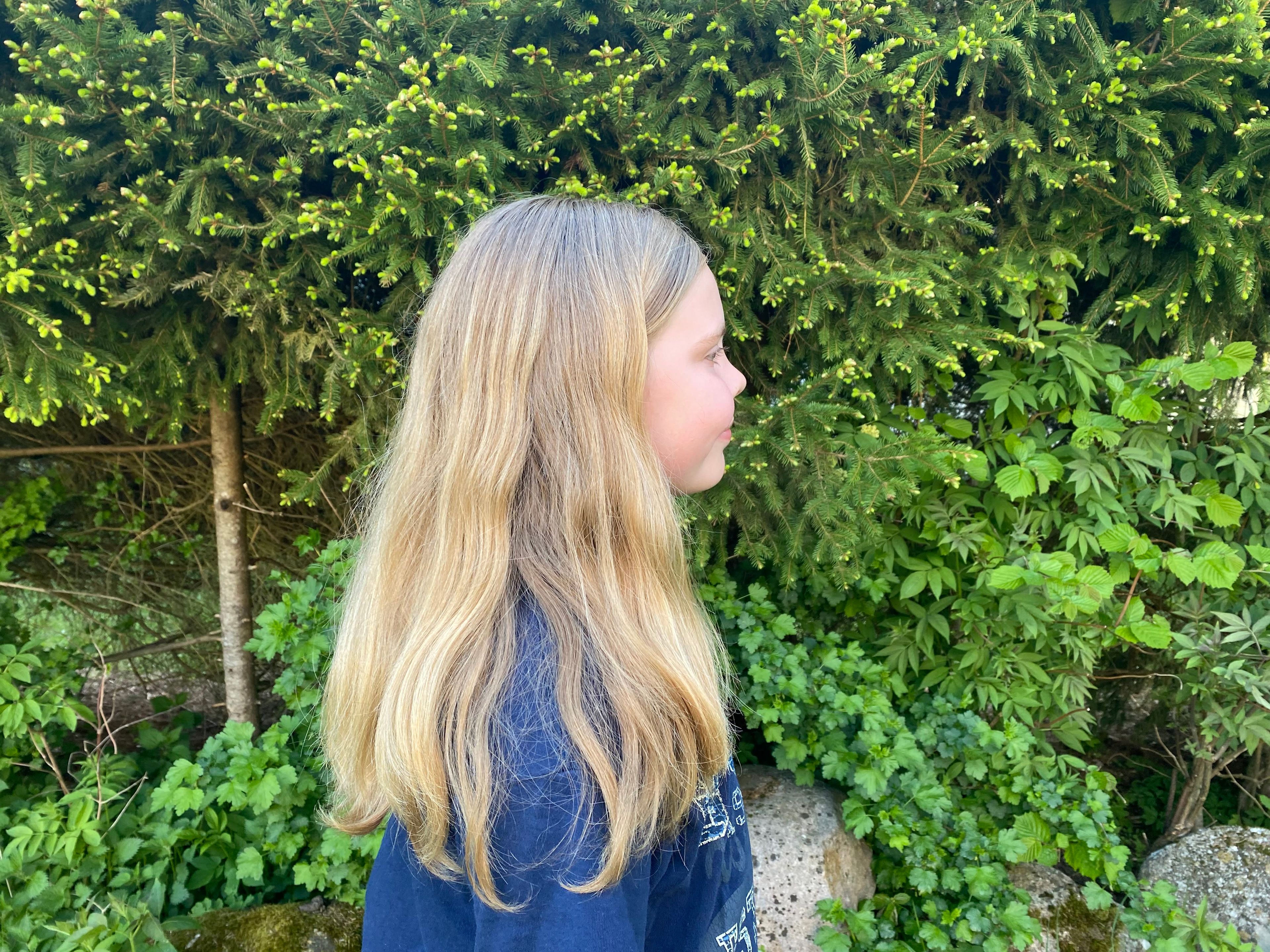 bild 4}