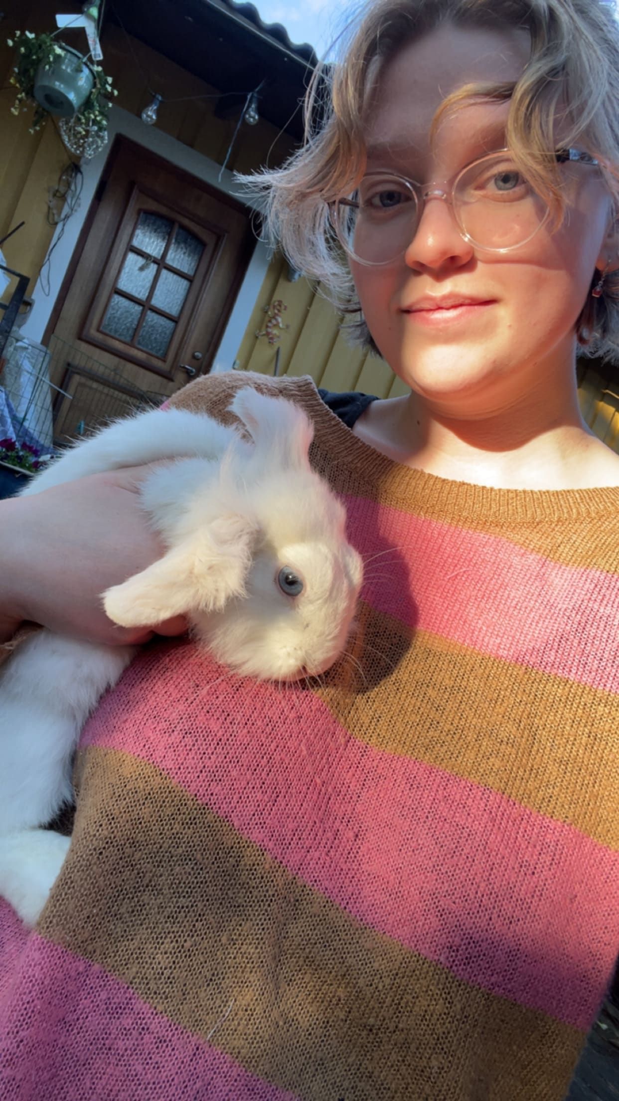 bild 2}
