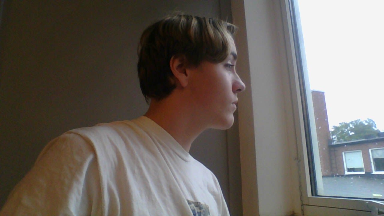 bild 1}