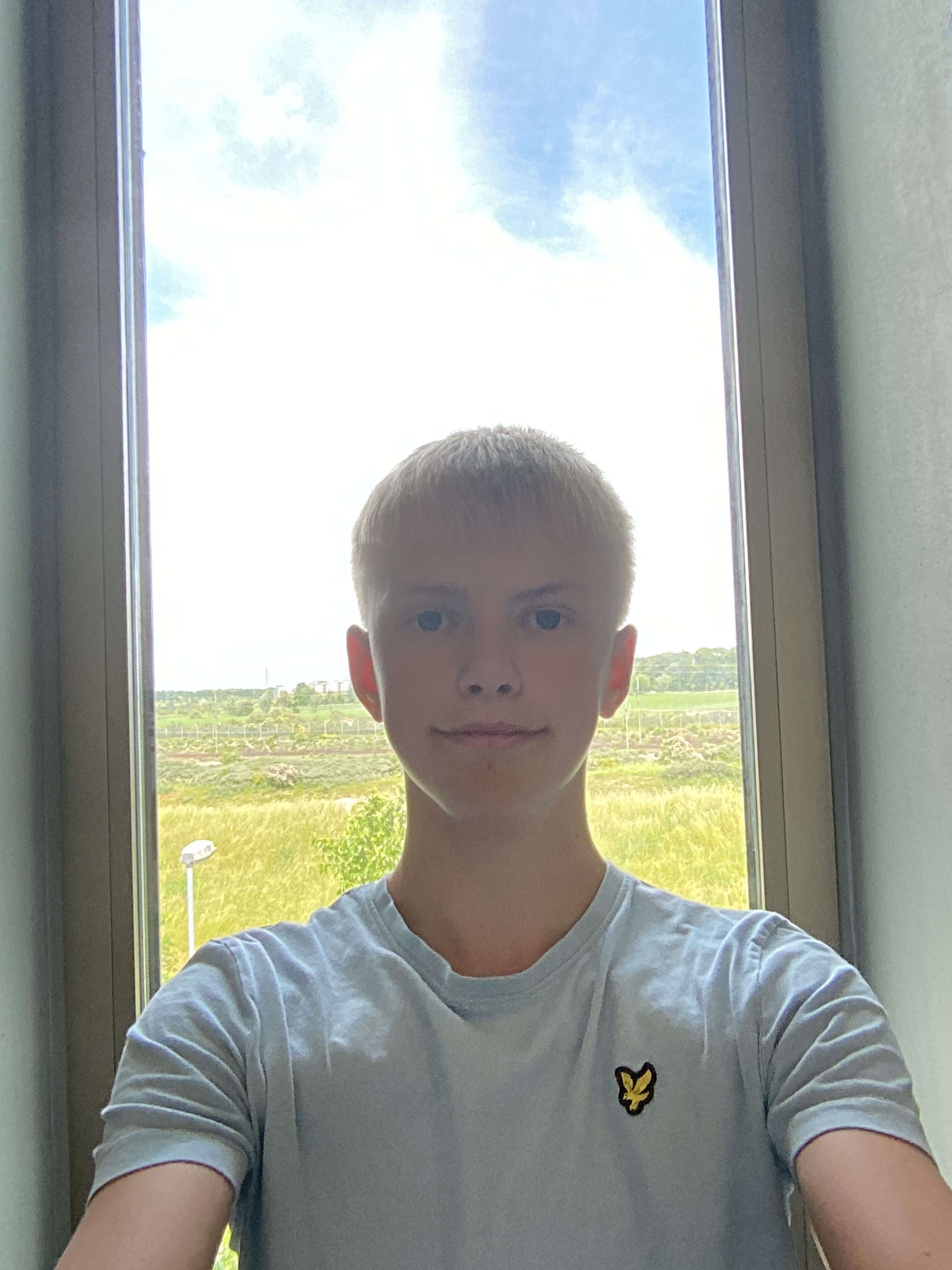 bild 0}