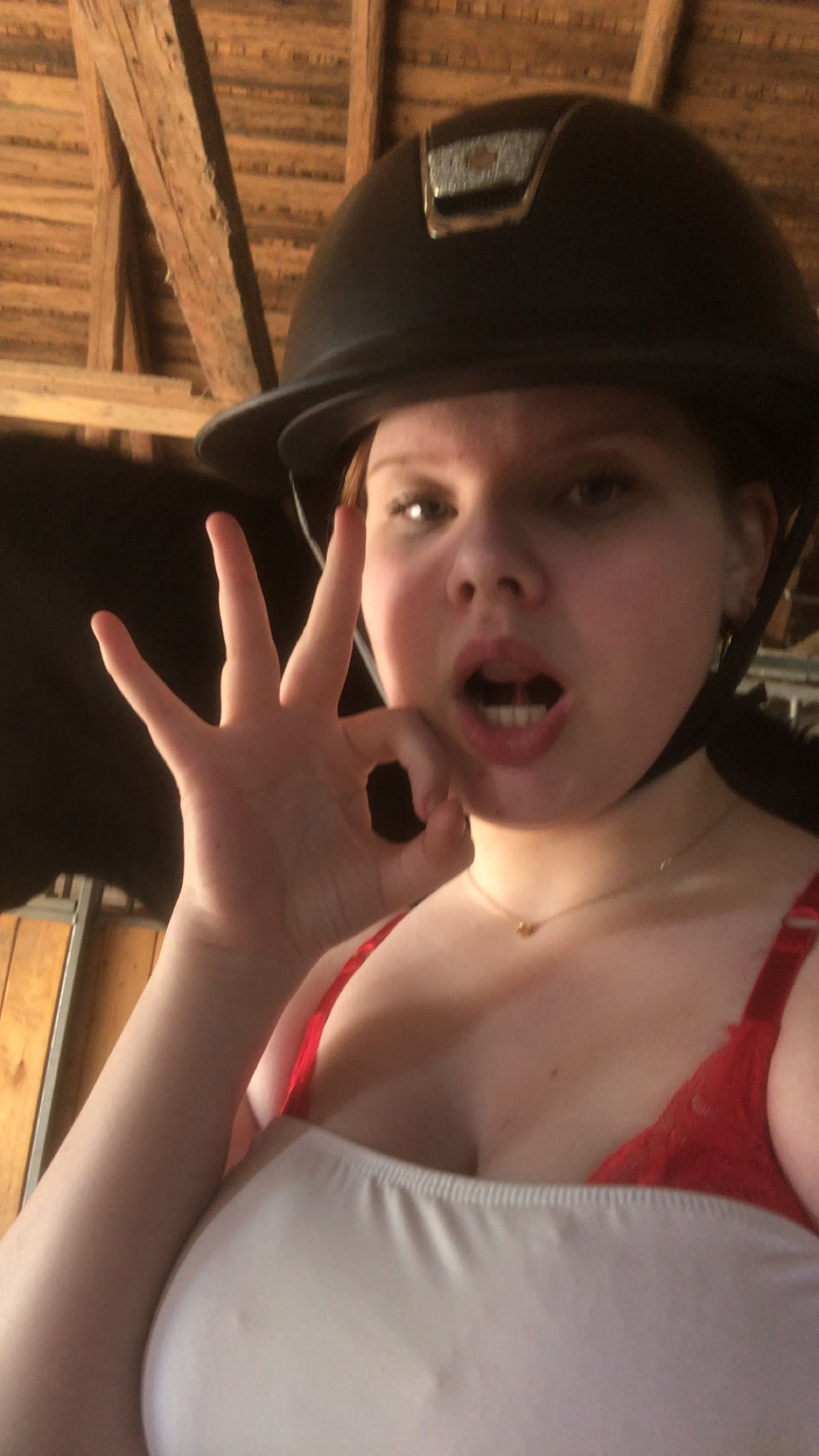 bild 2}