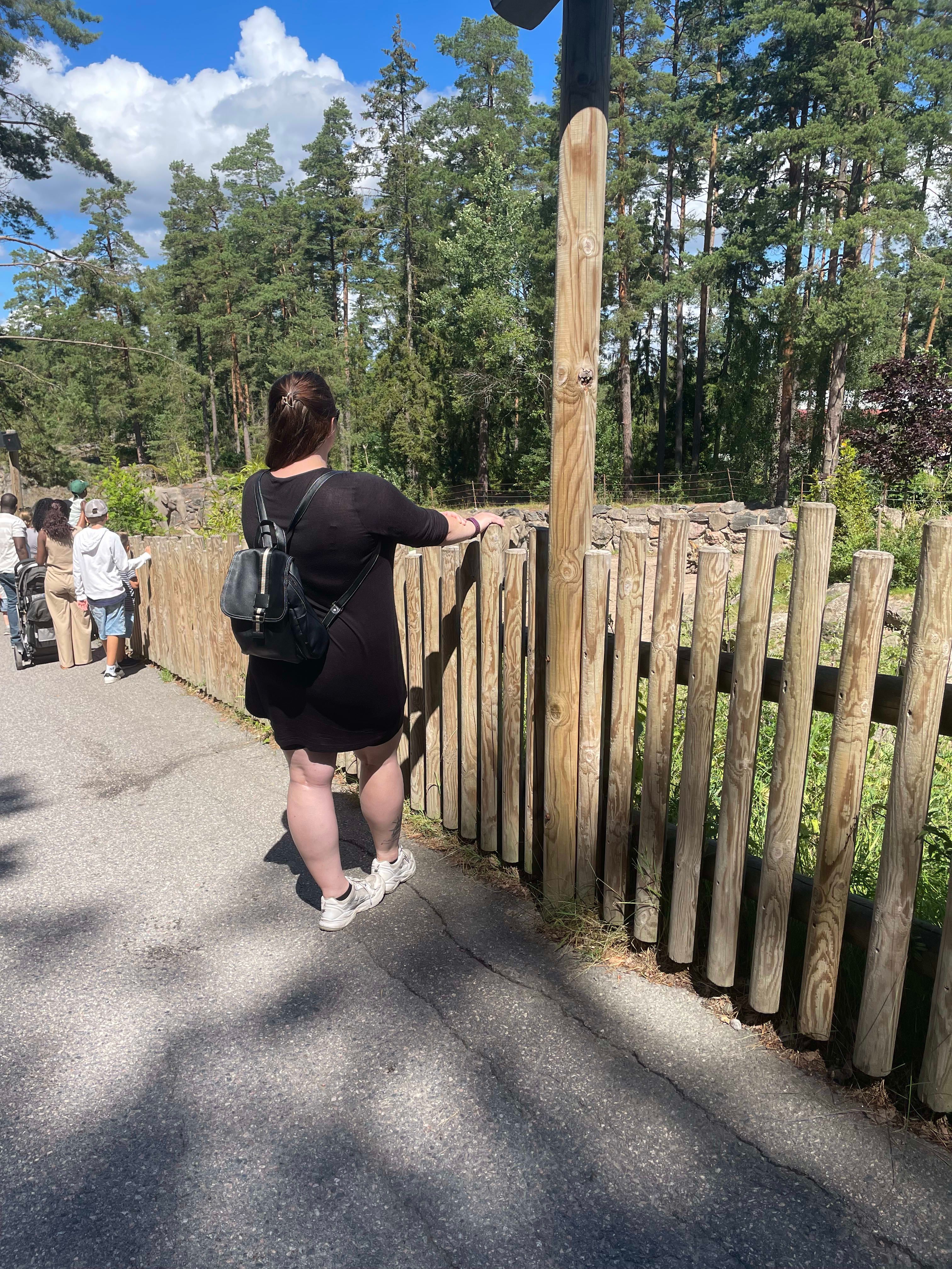 bild 0}
