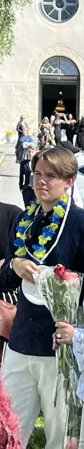 bild 4}