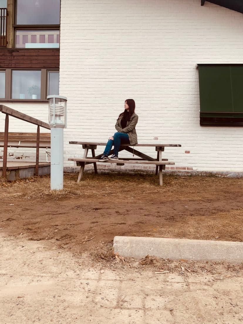 bild 0}