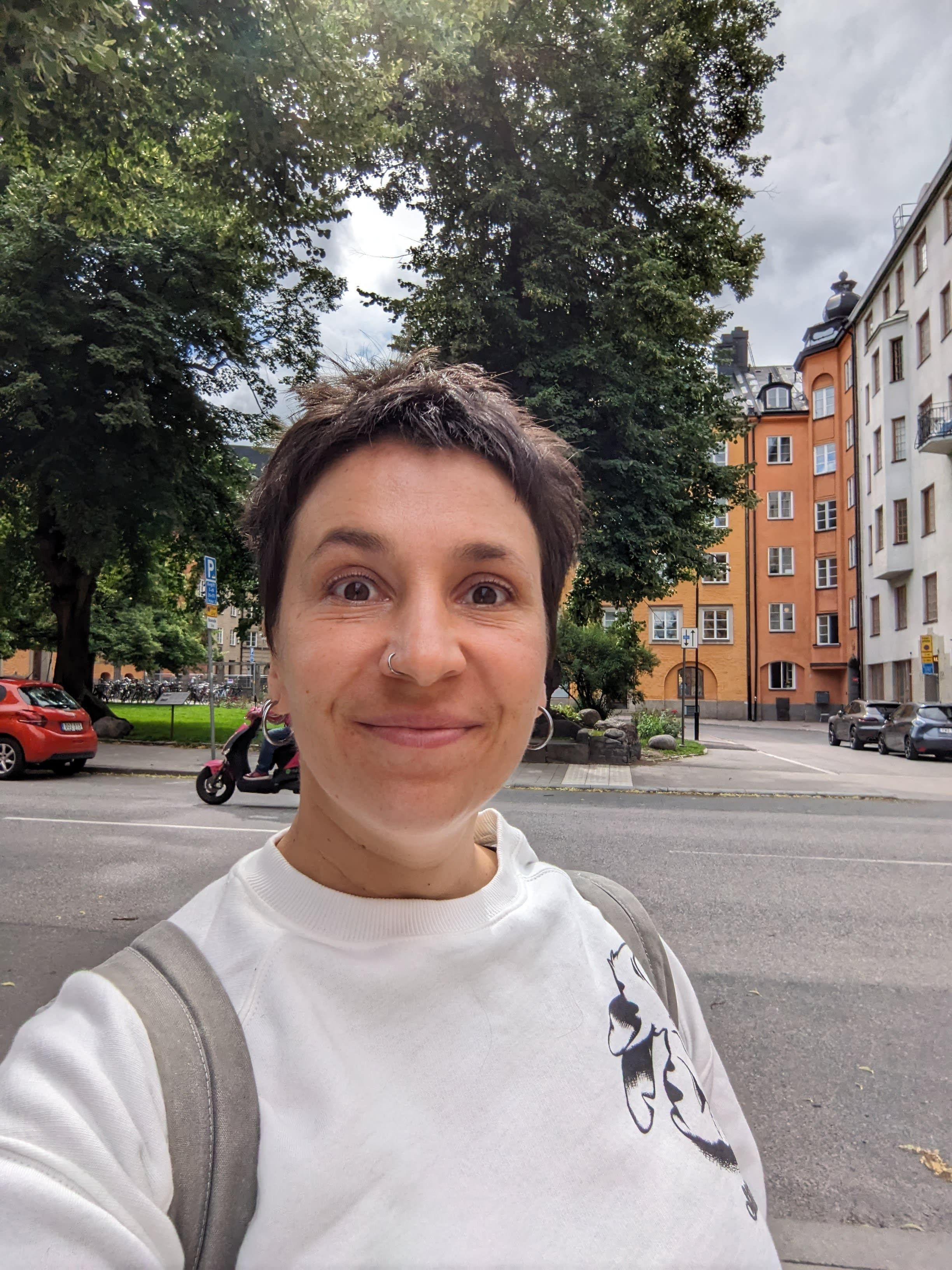 bild 0}