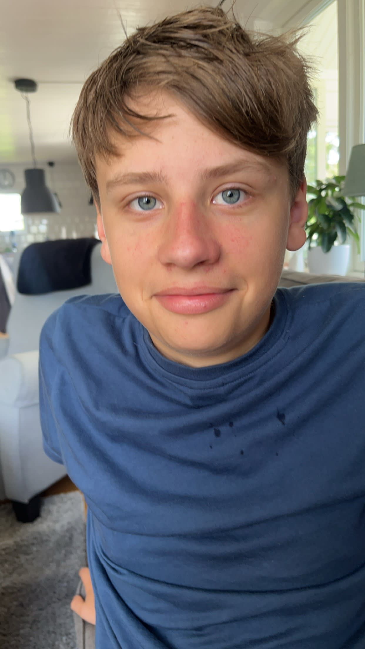 bild 1}