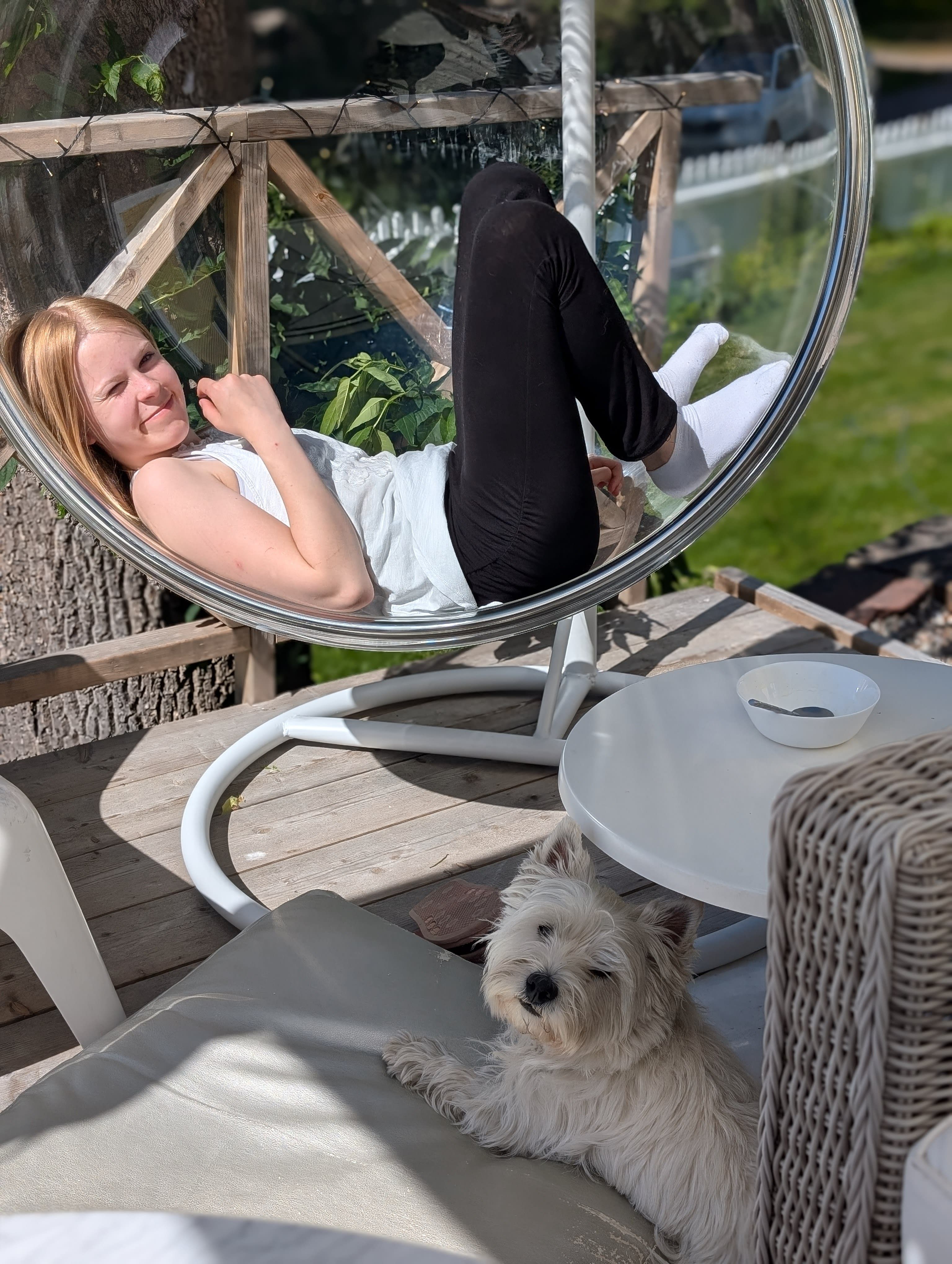bild 0}