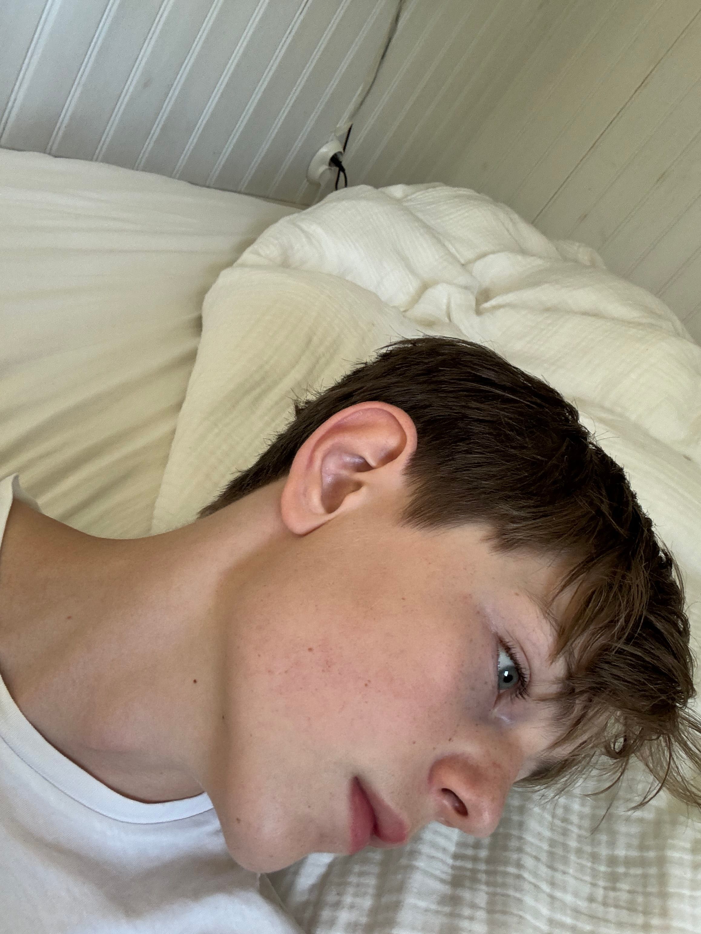 bild 2}