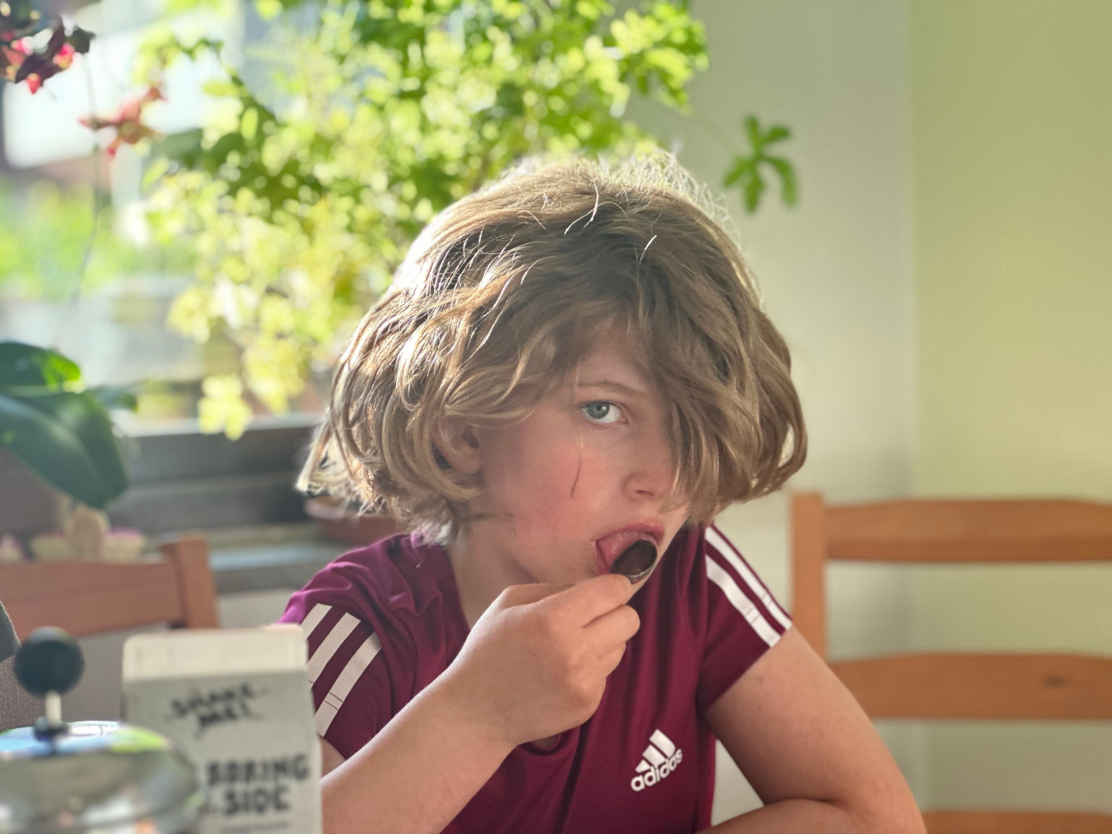 bild 2}