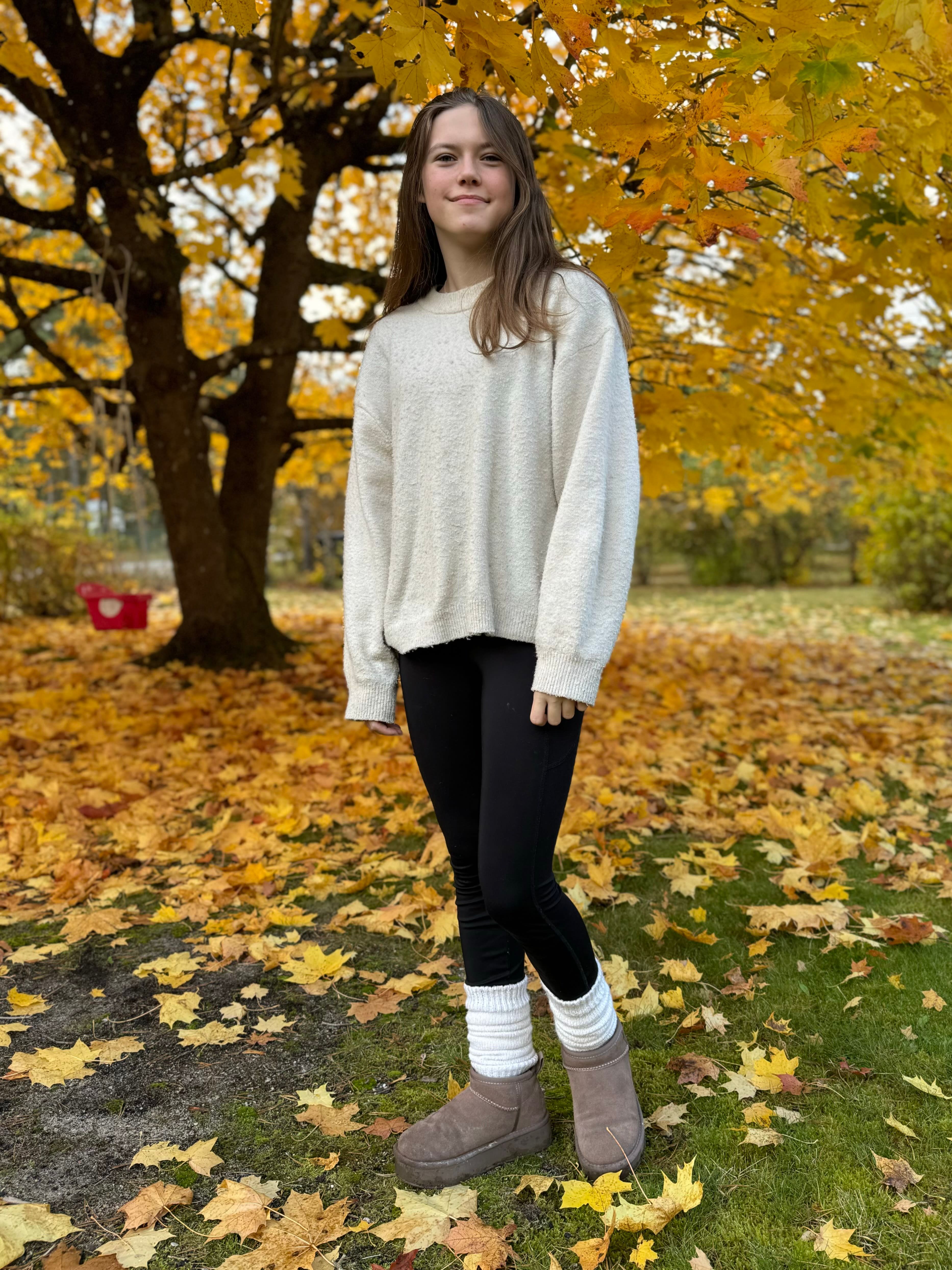bild 2}