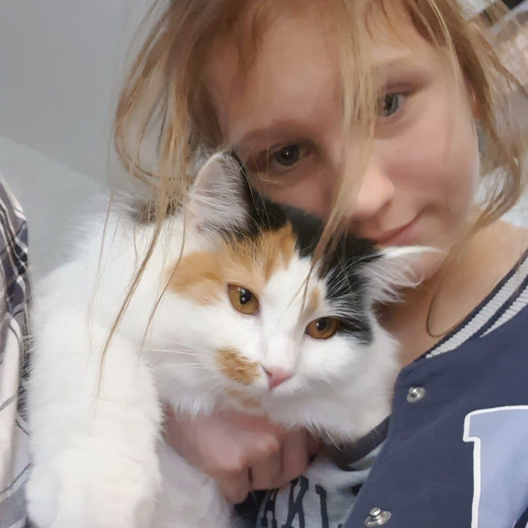 bild 0}
