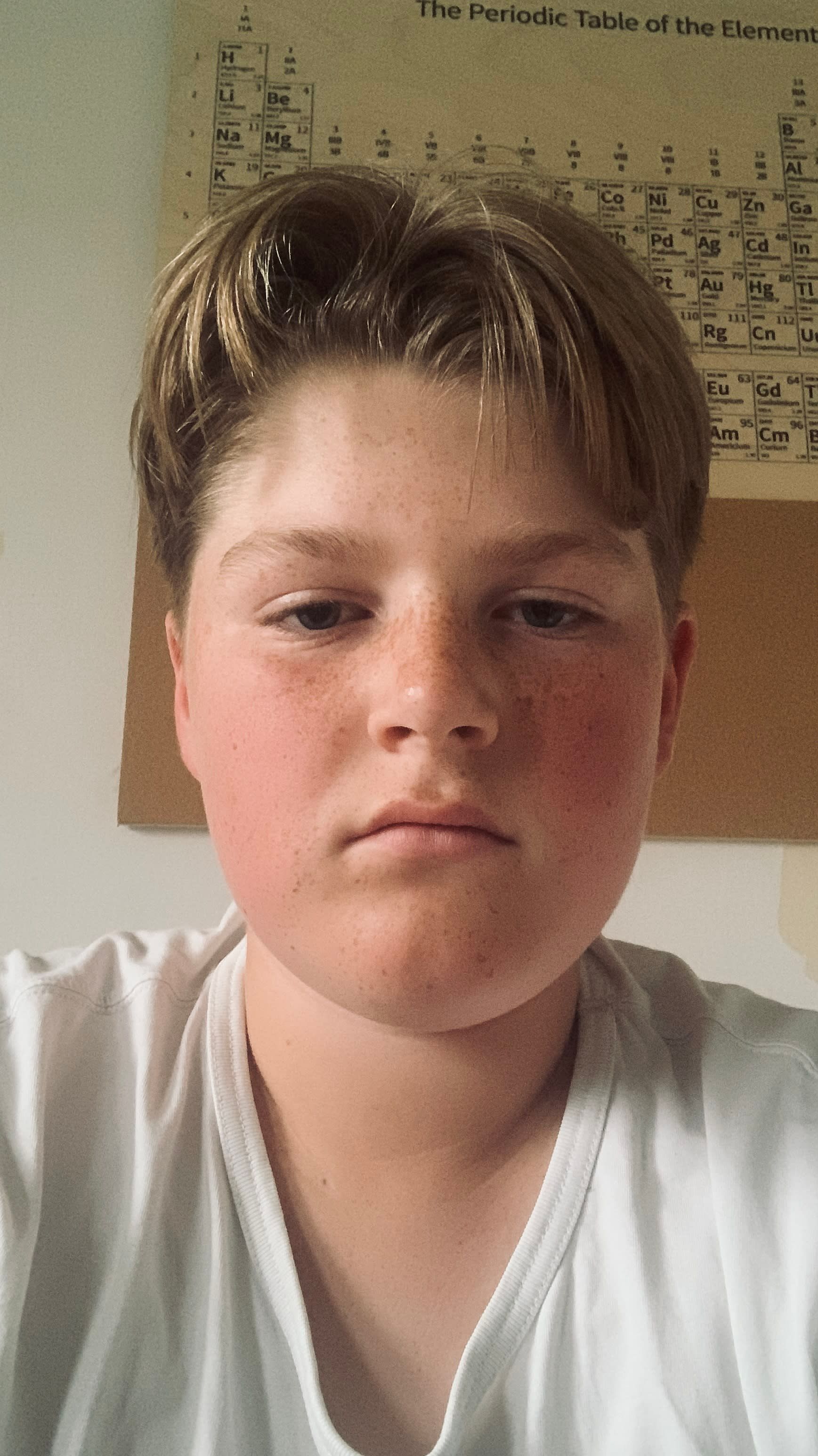 bild 2}