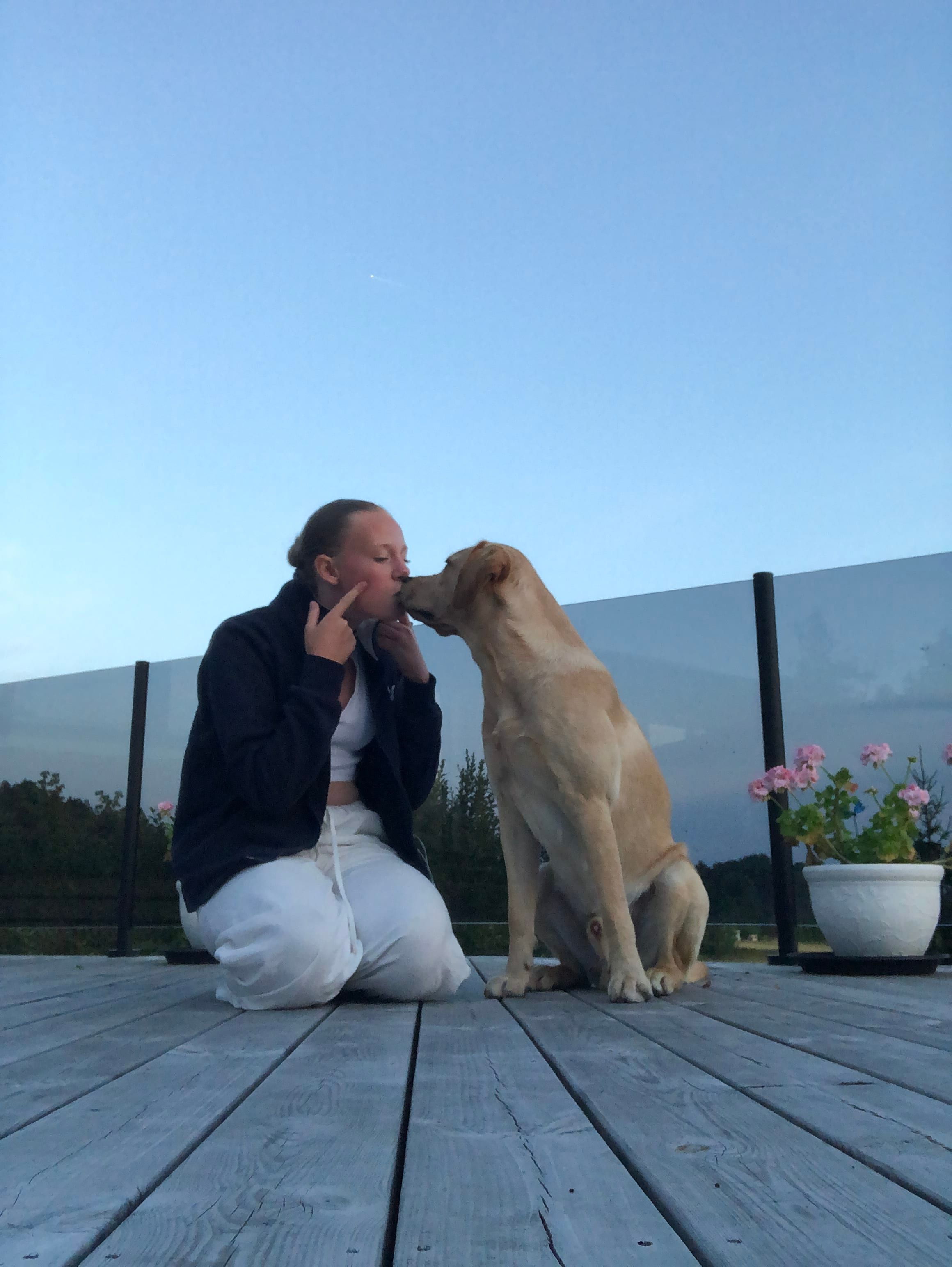 bild 3}