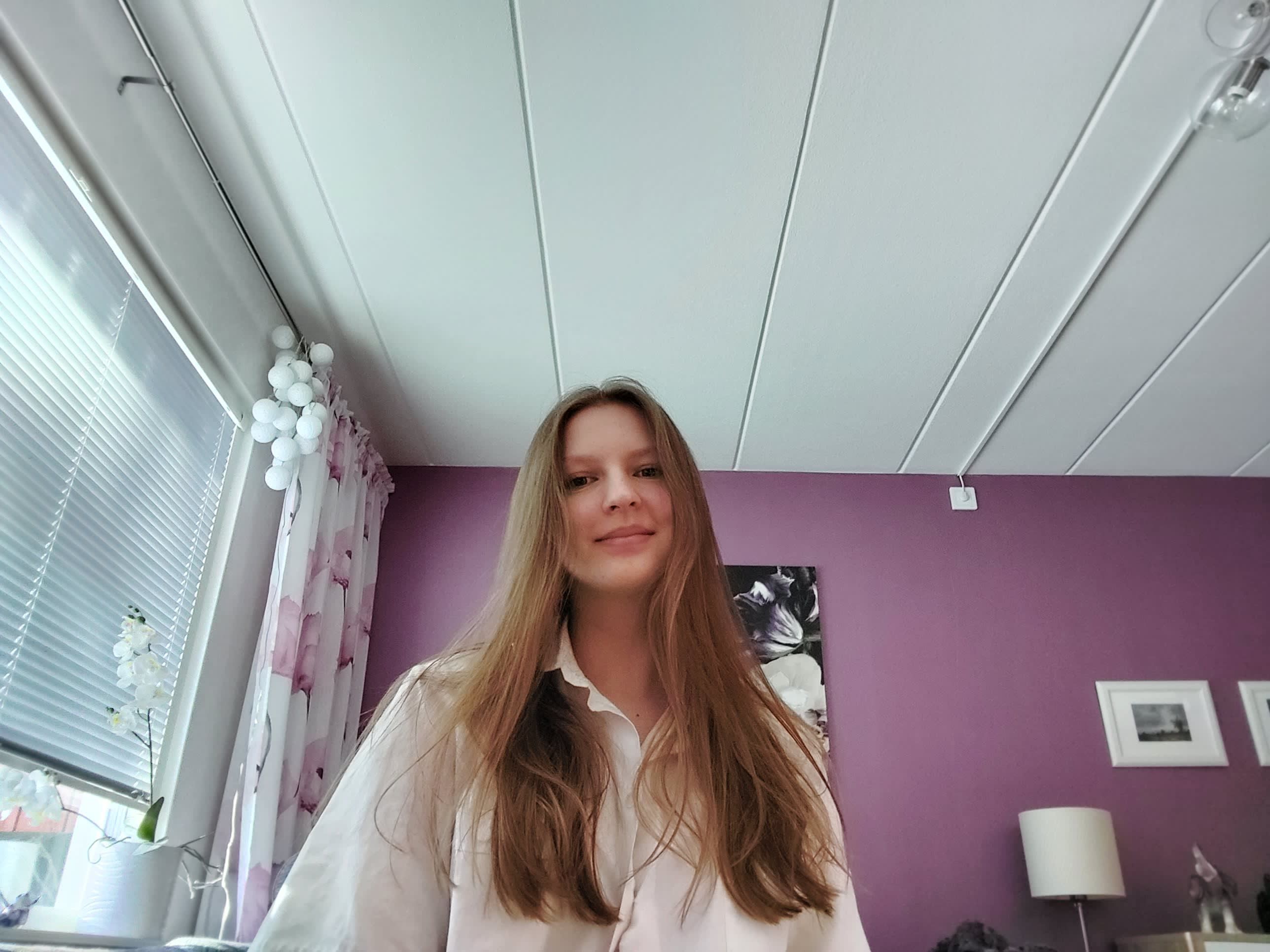 bild 2}
