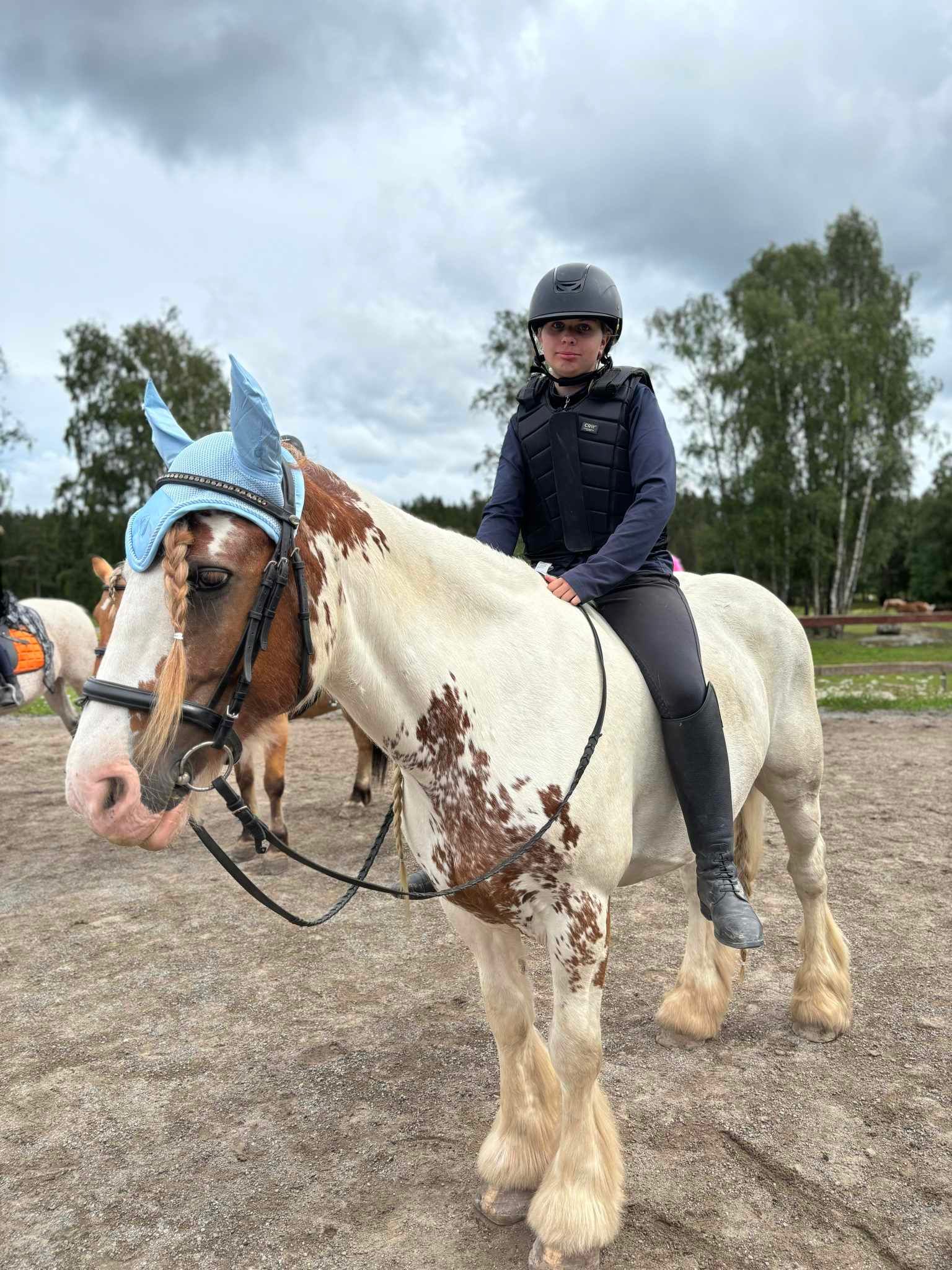 bild 0}
