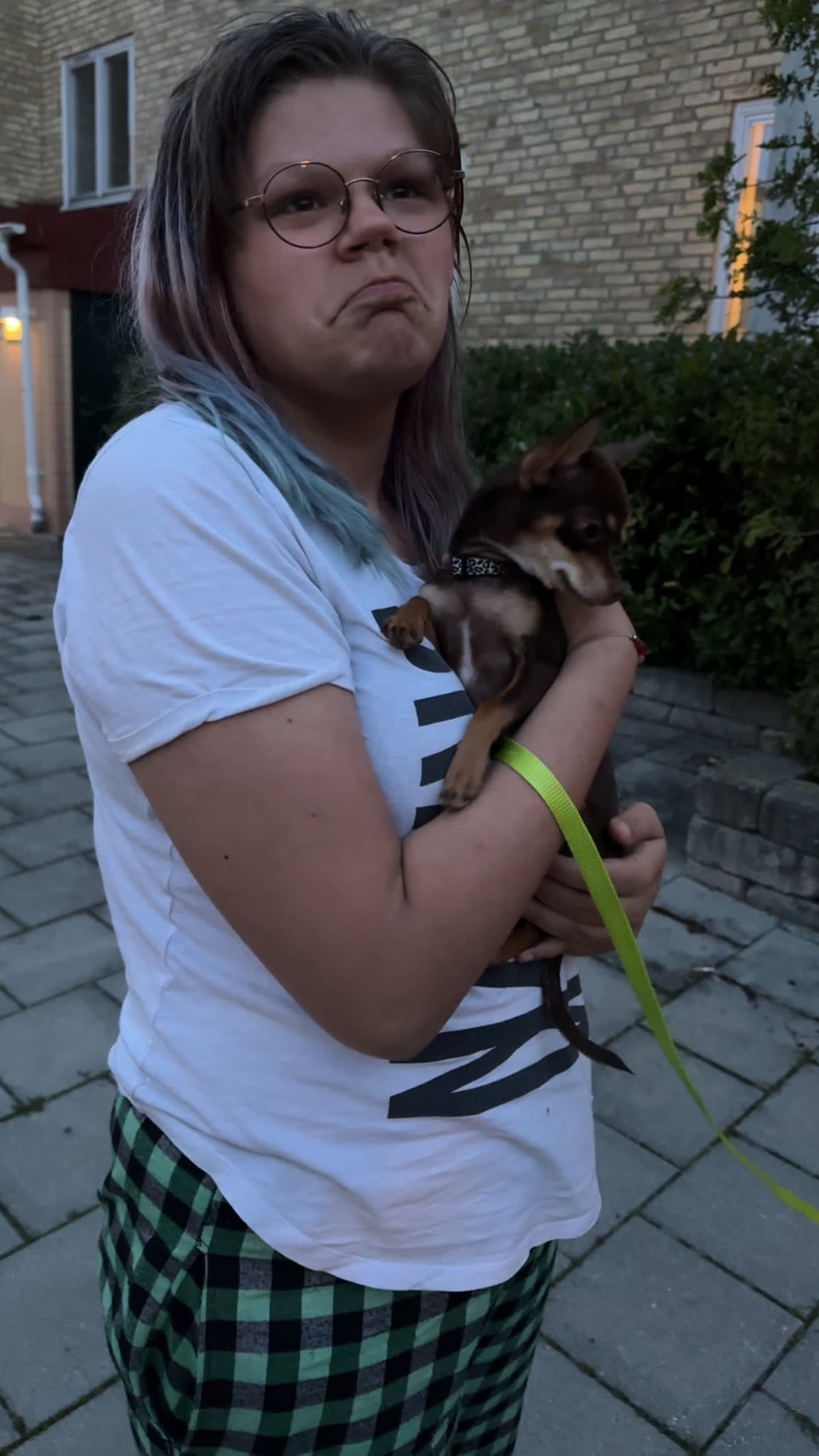bild 2}