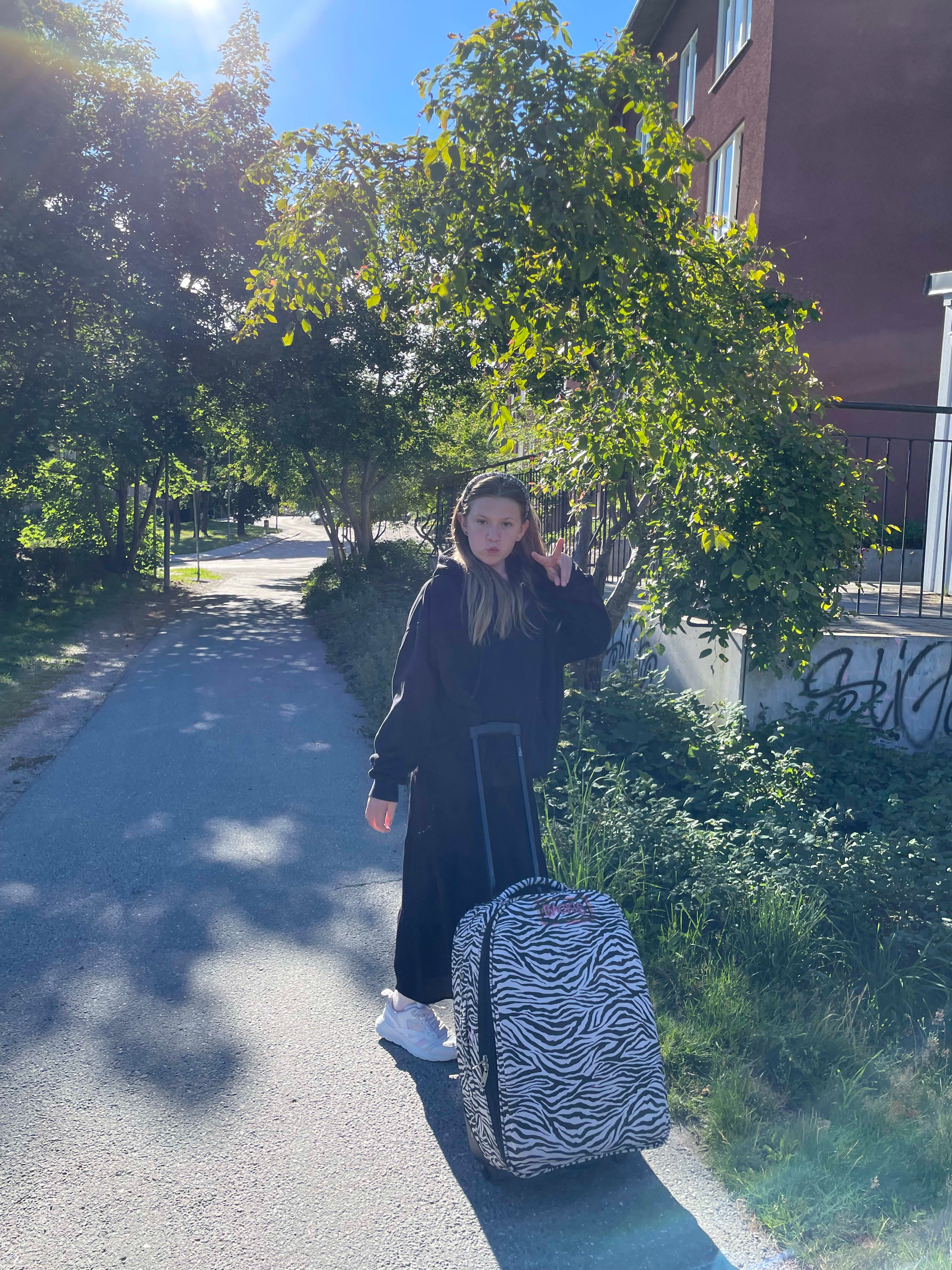 bild 2}