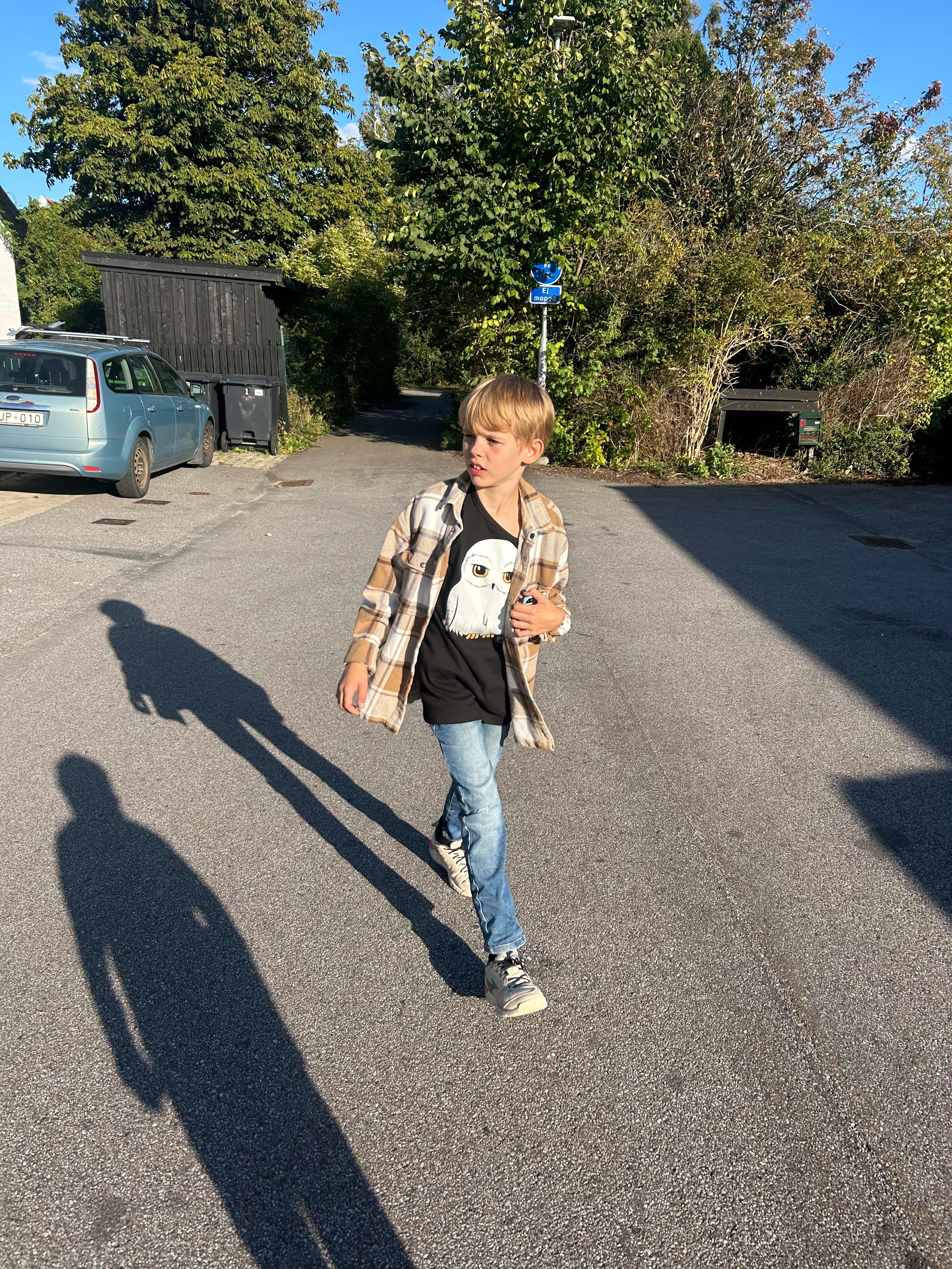 bild 2}