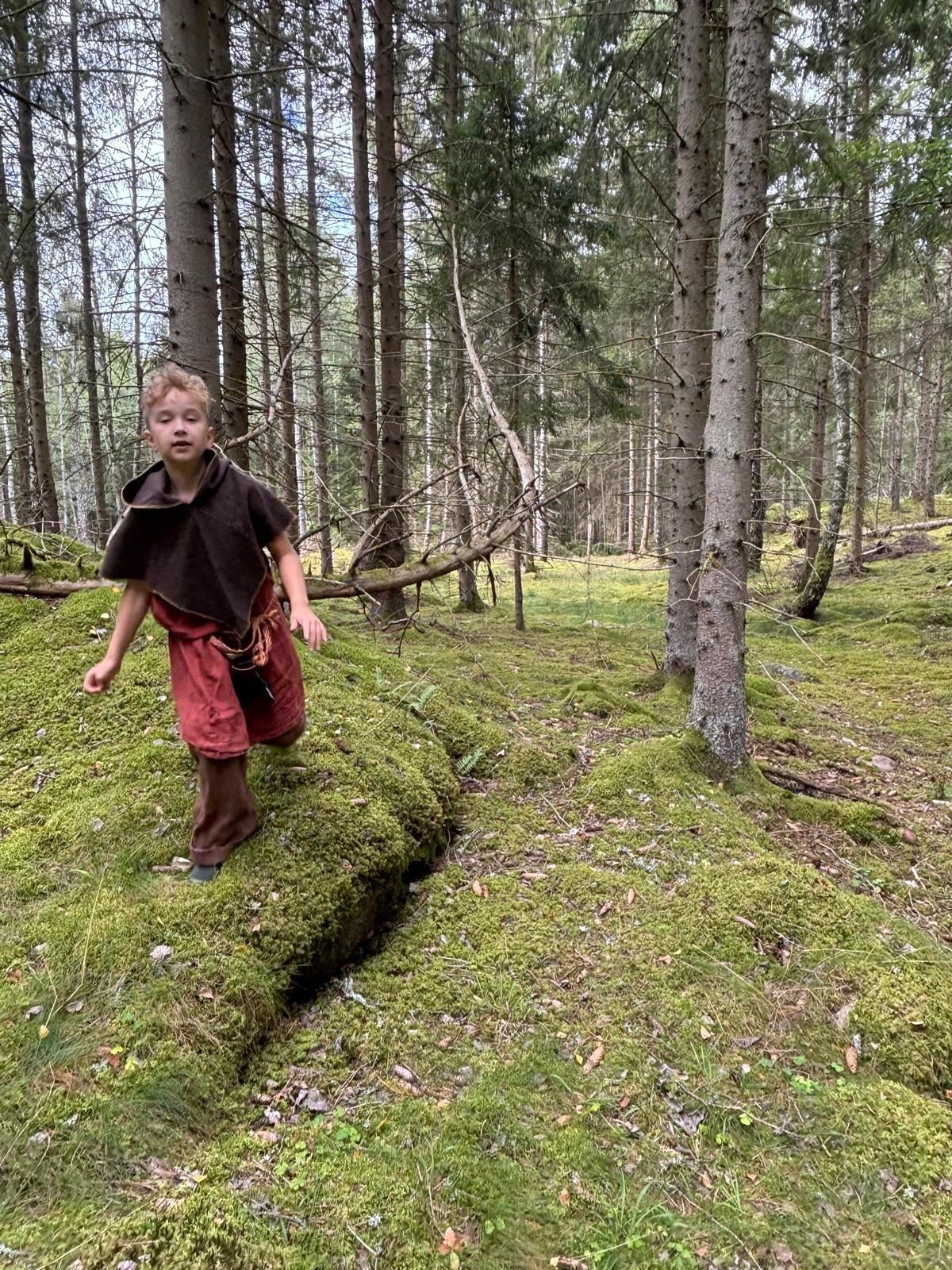 bild 4}